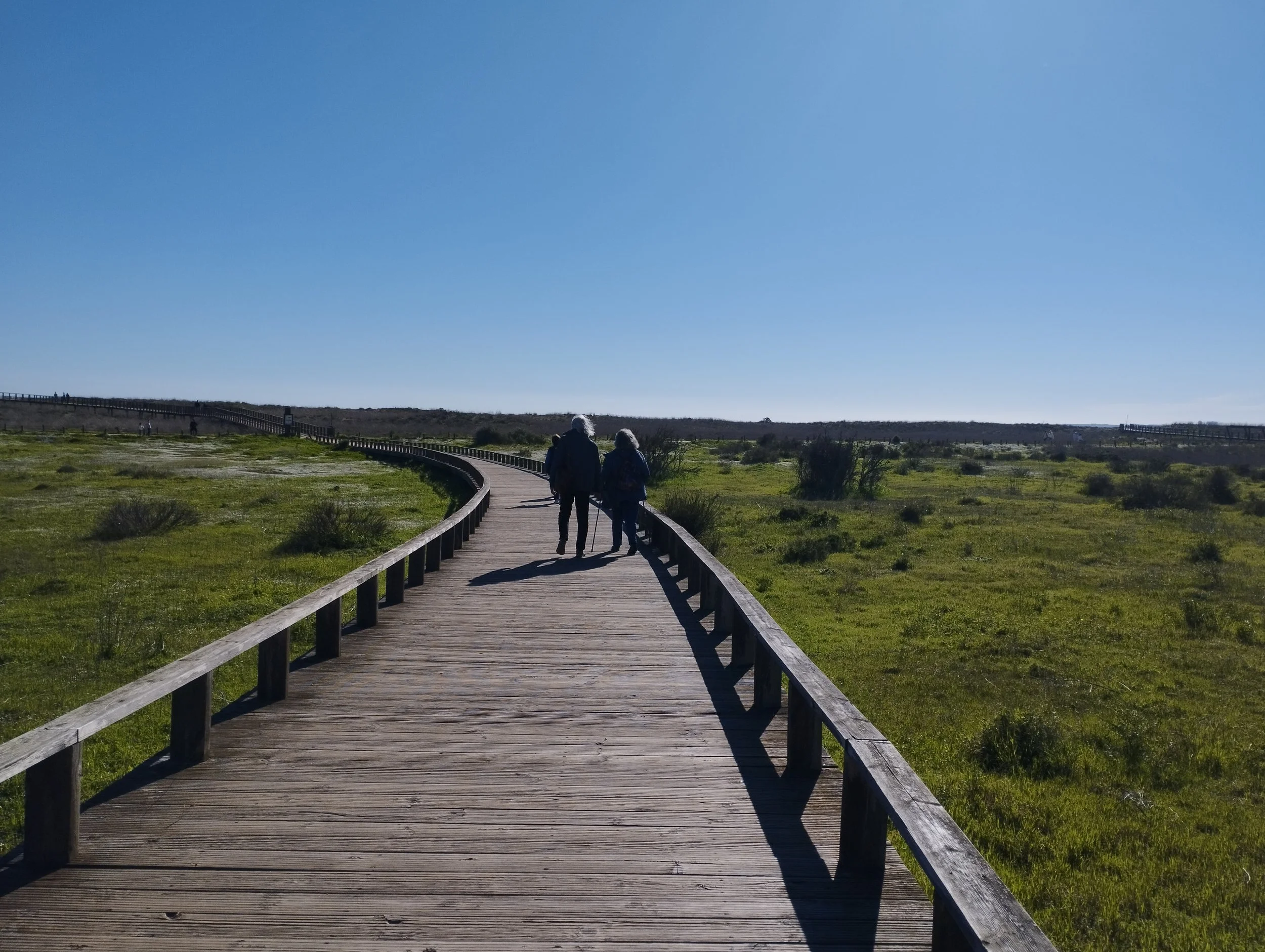 Alvor boardwalk