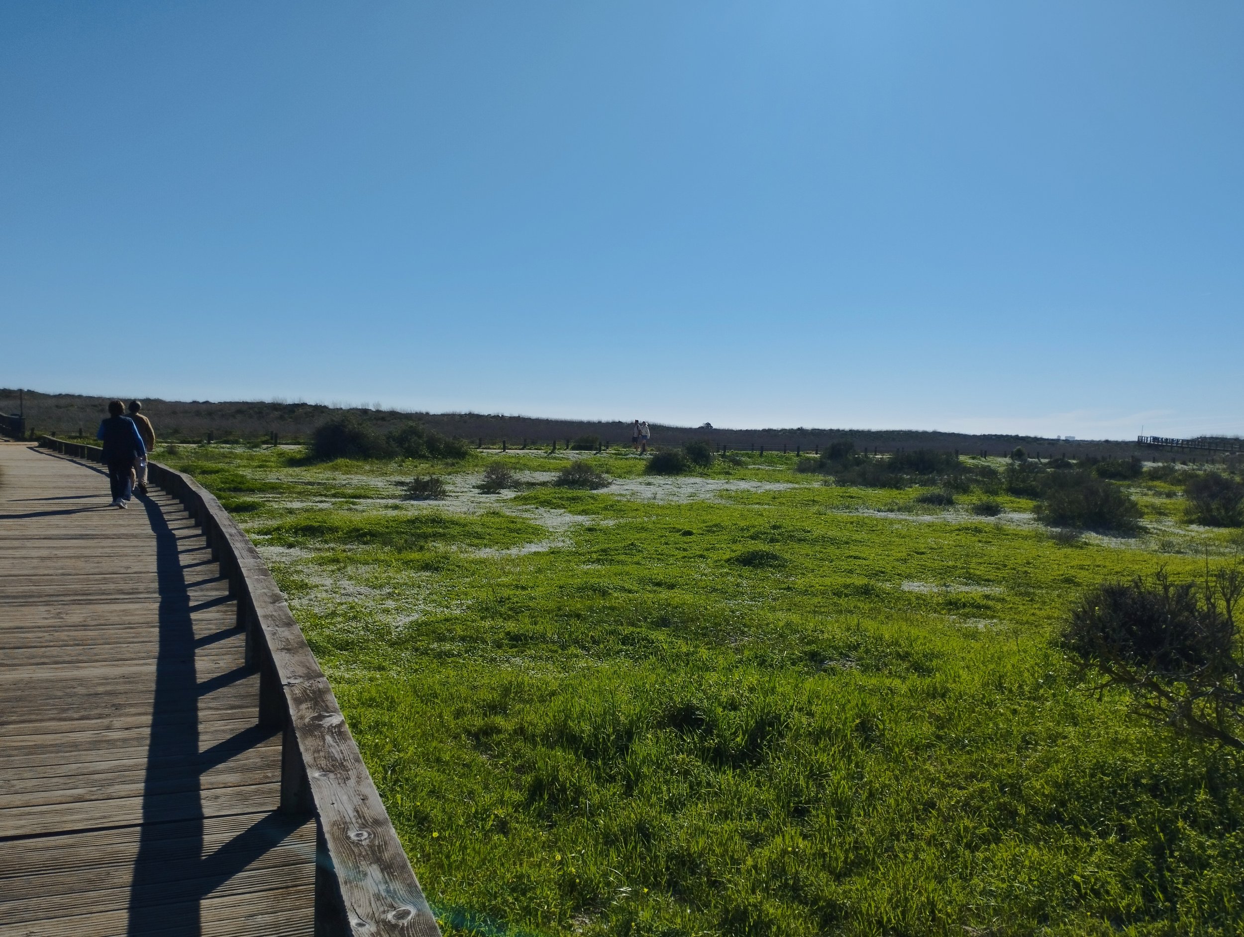 Alvor boardwalk