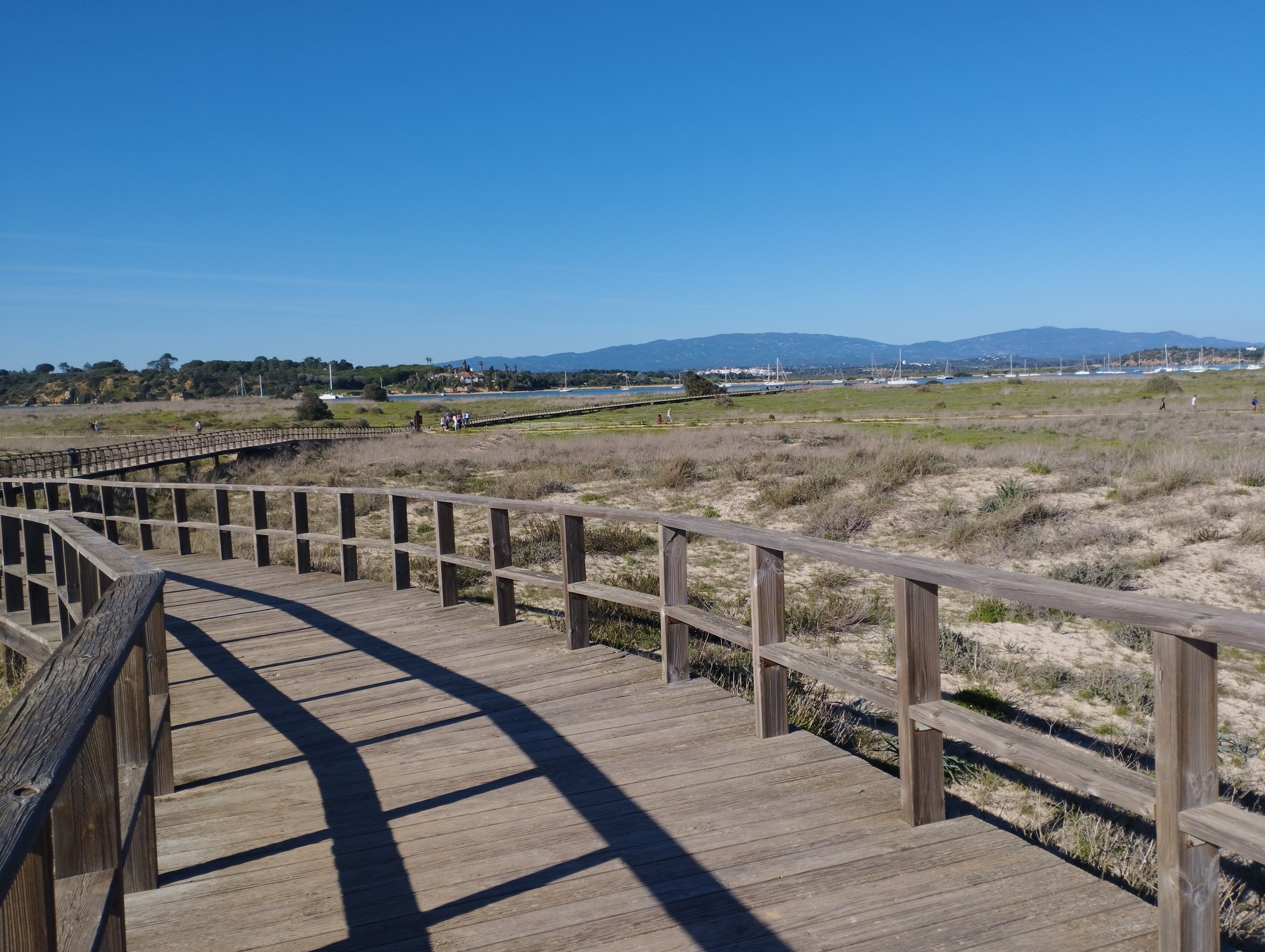 Alvor boardwalk