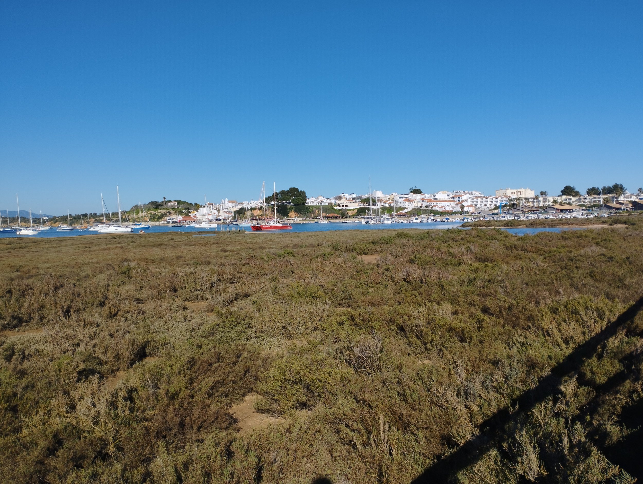 Alvor boardwalk