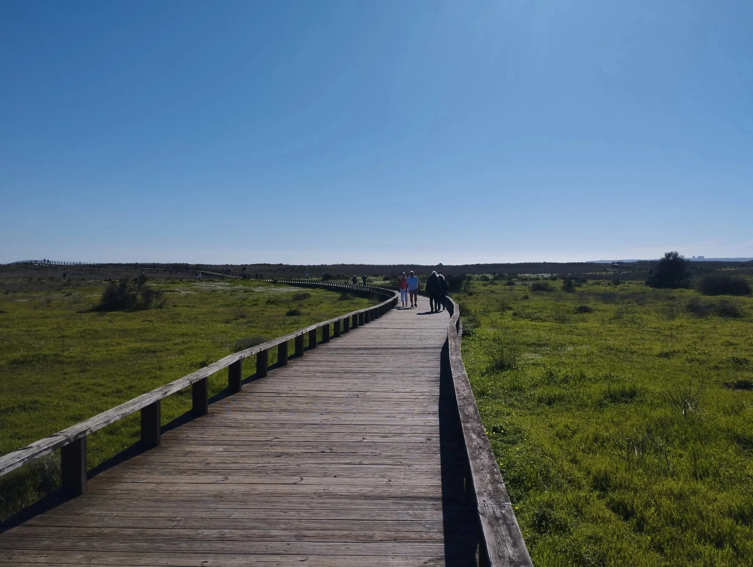 Alvor boardwalk