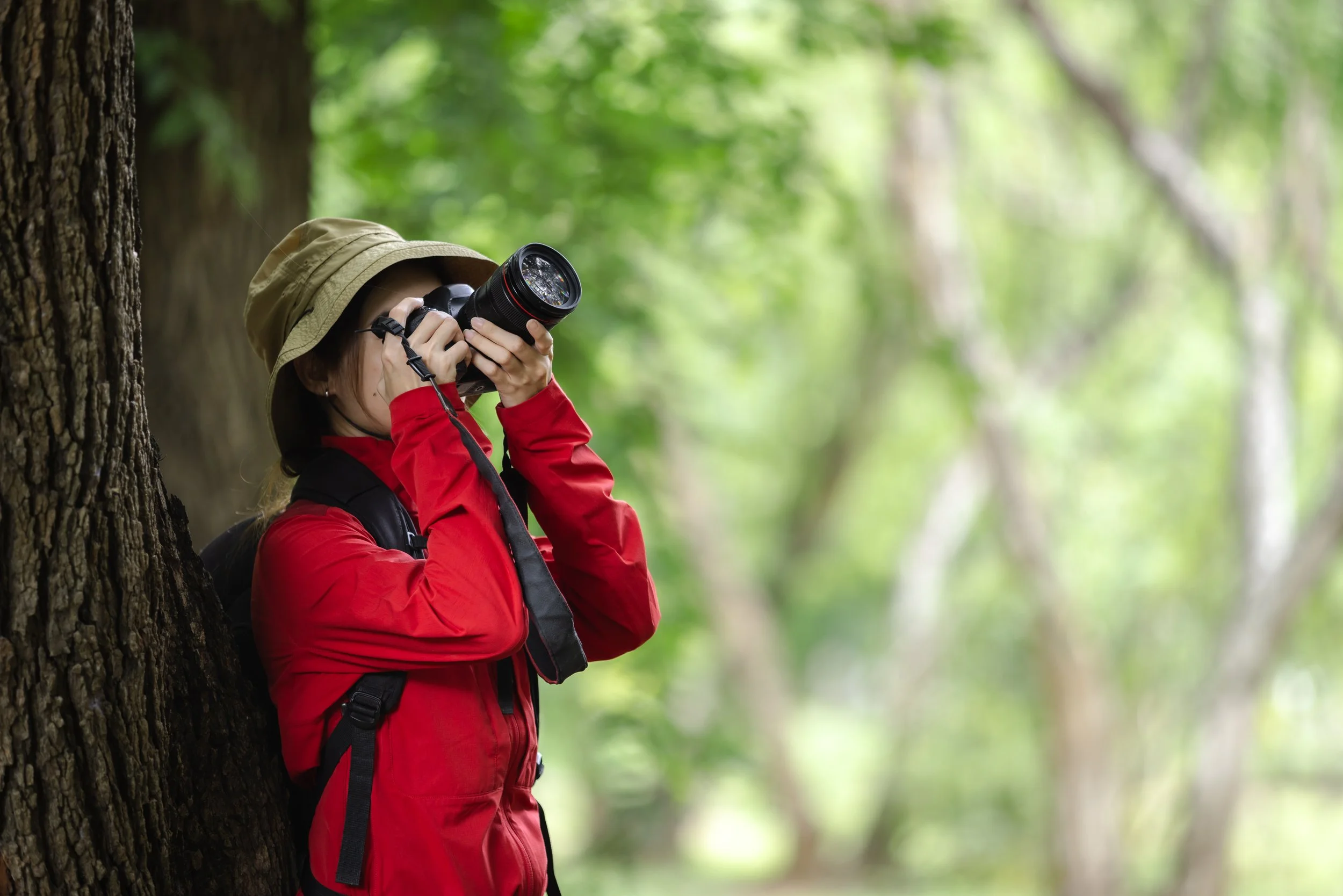 The best birdwatching spots in the Algarve