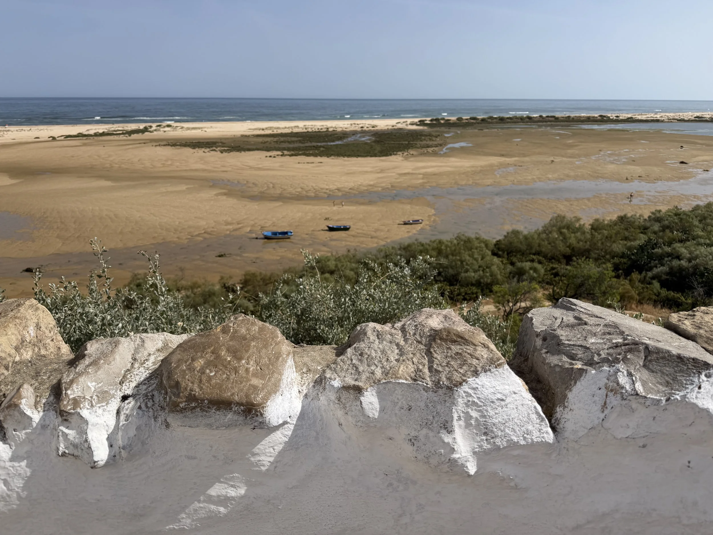 Fish boats in Ria Formosa