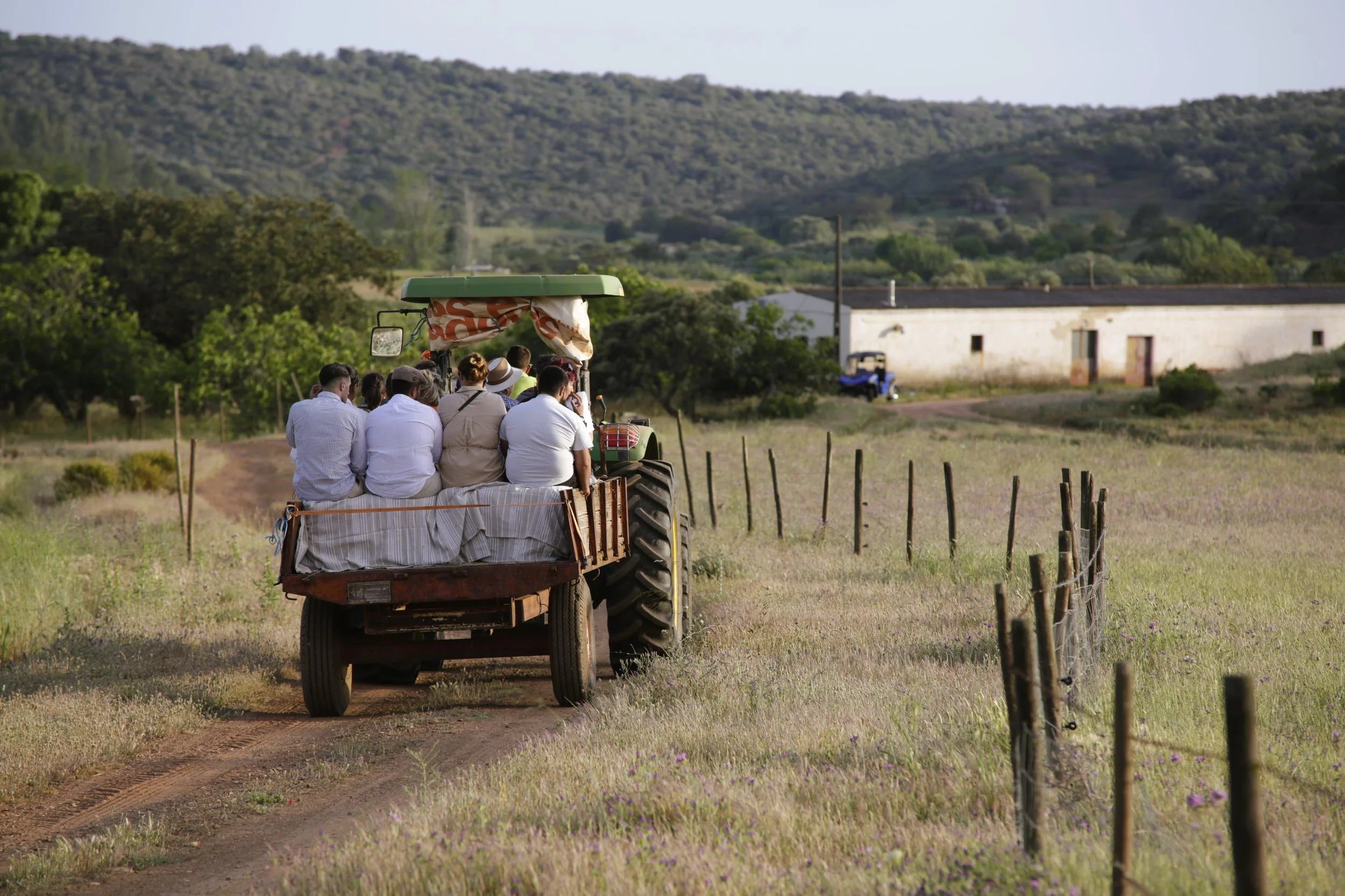 Tractor tour at Quinta do Freixo 