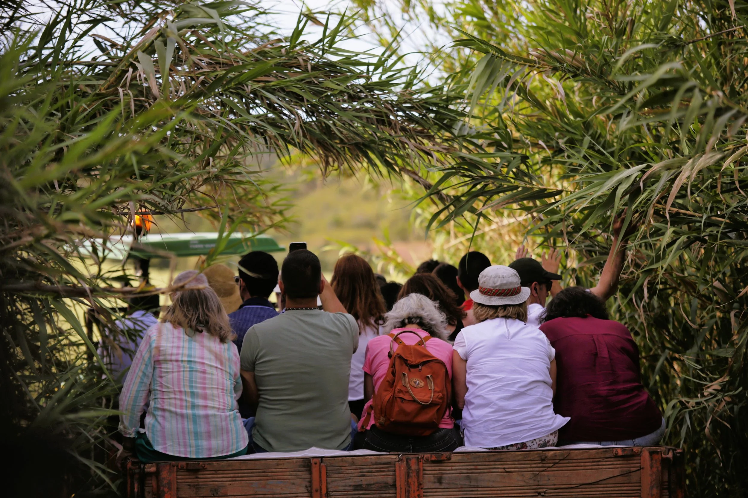 Tractor tour at Quinta do Freixo 