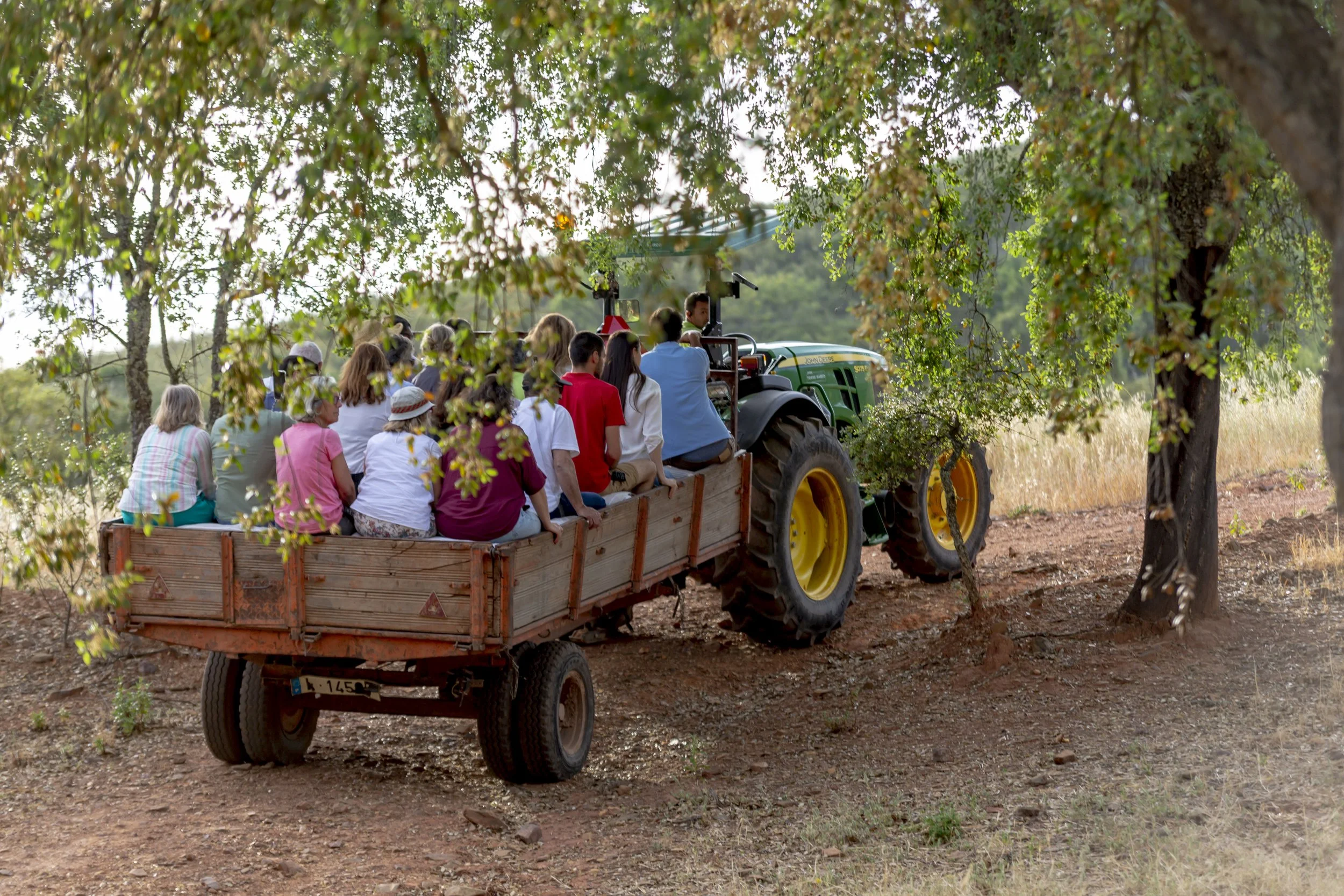 Tractor tour at Quinta do Freixo 