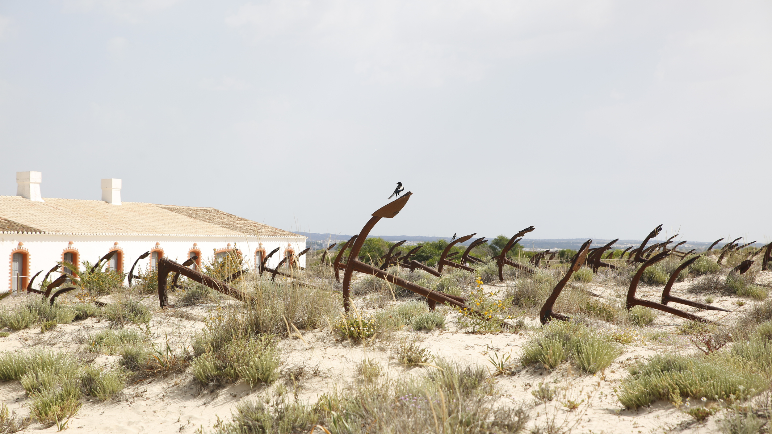 Anchor cemetery at Praia do Barril