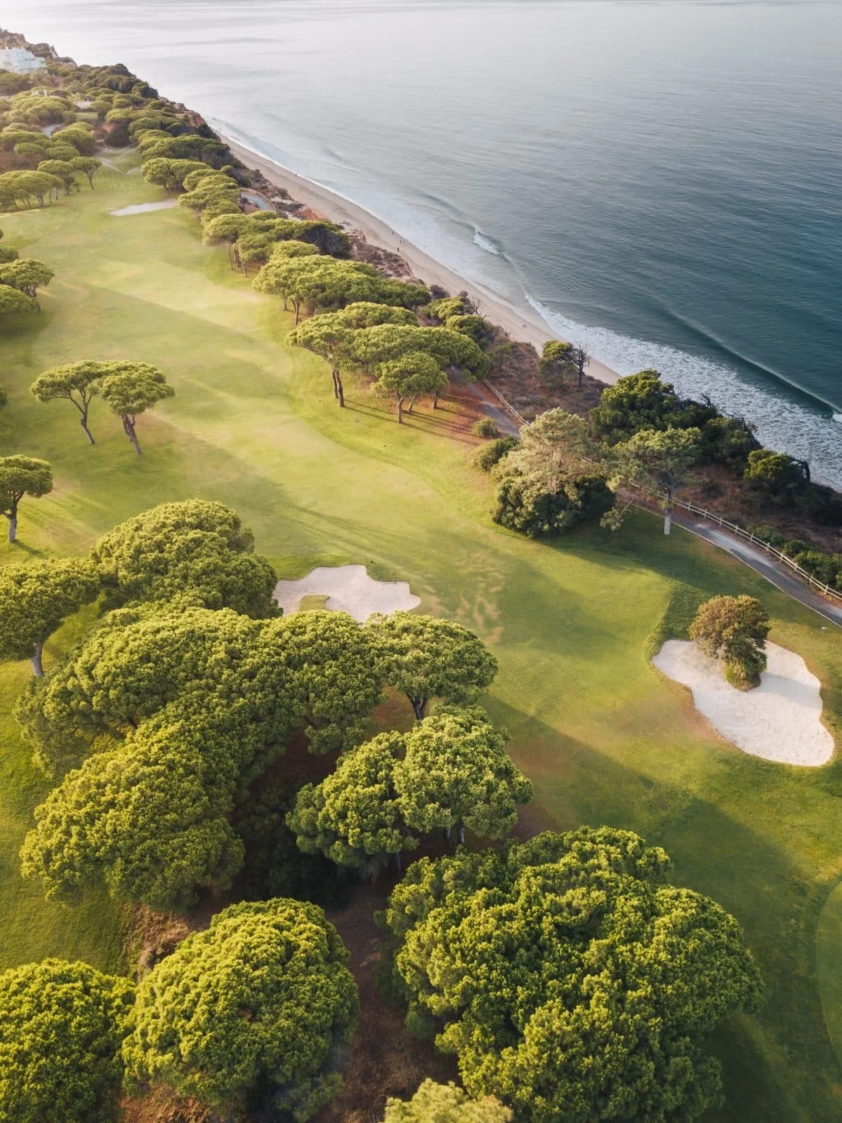 Pine Cliffs Golf Course