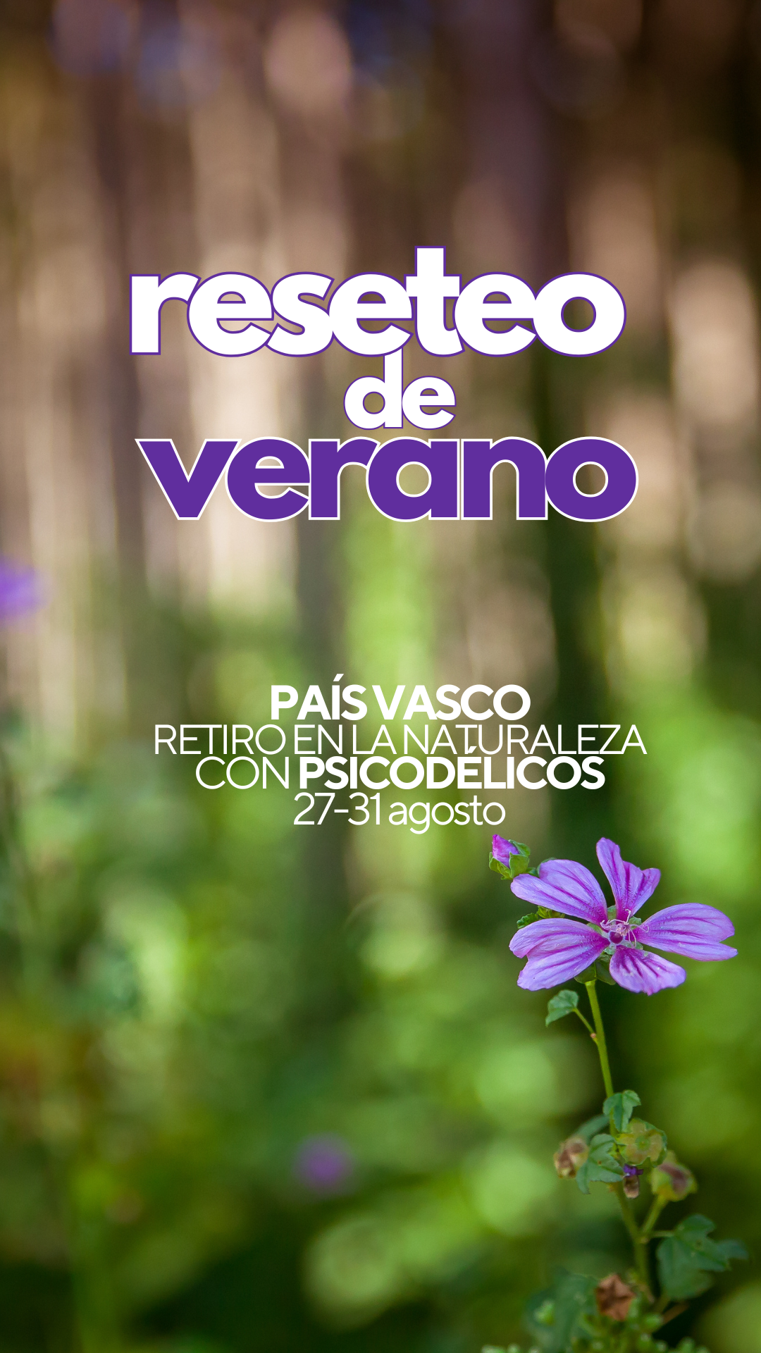 Reseteo de Verano