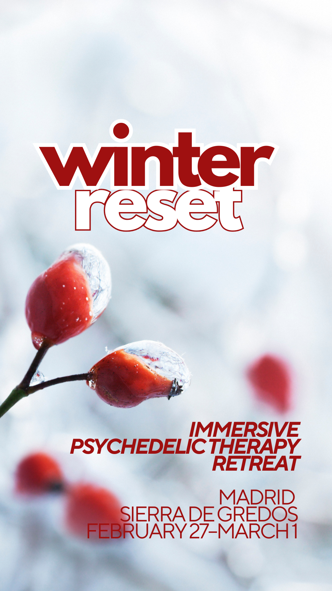 Winter Reset