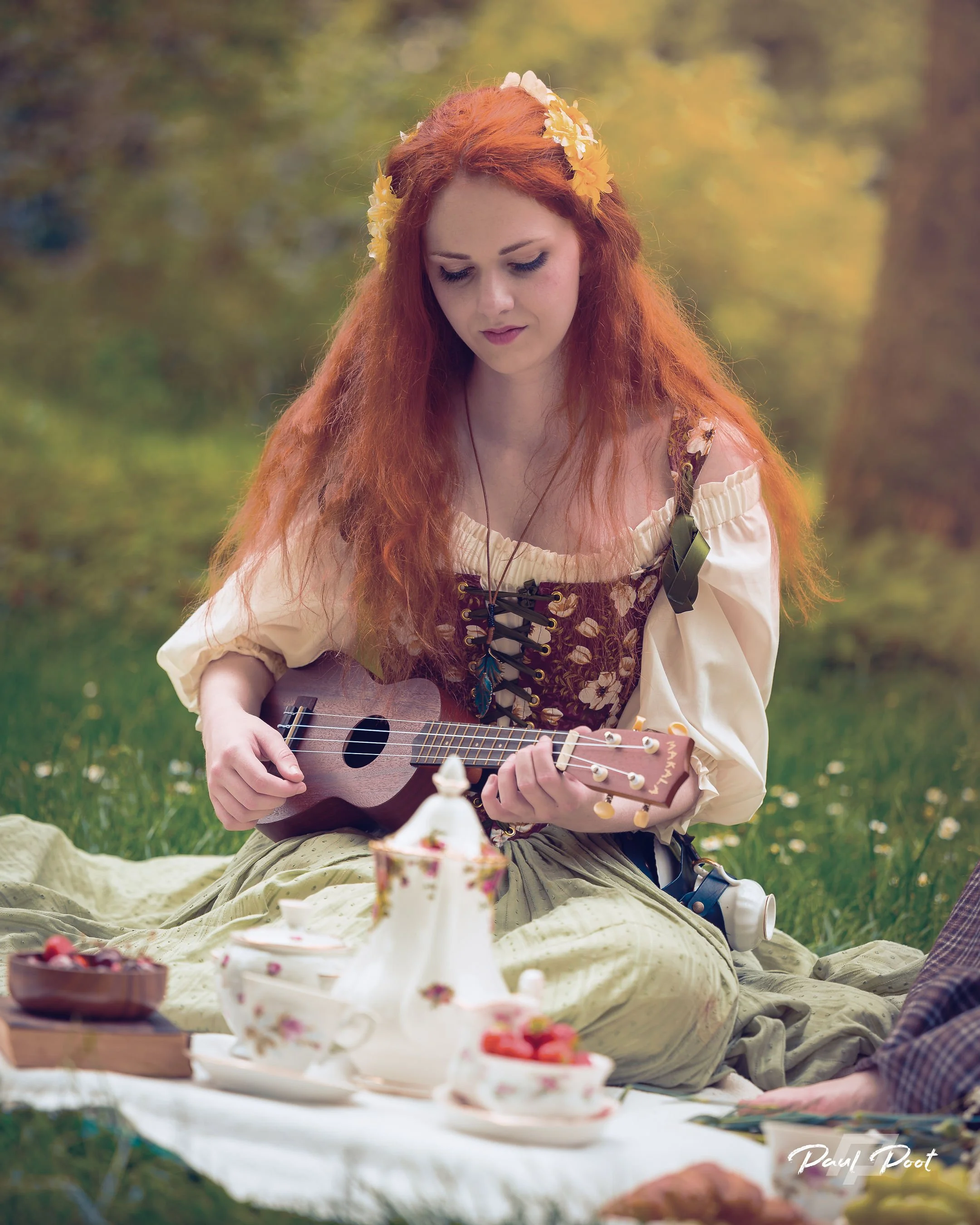 Hobbit Picnic - Dreamscape (2024)