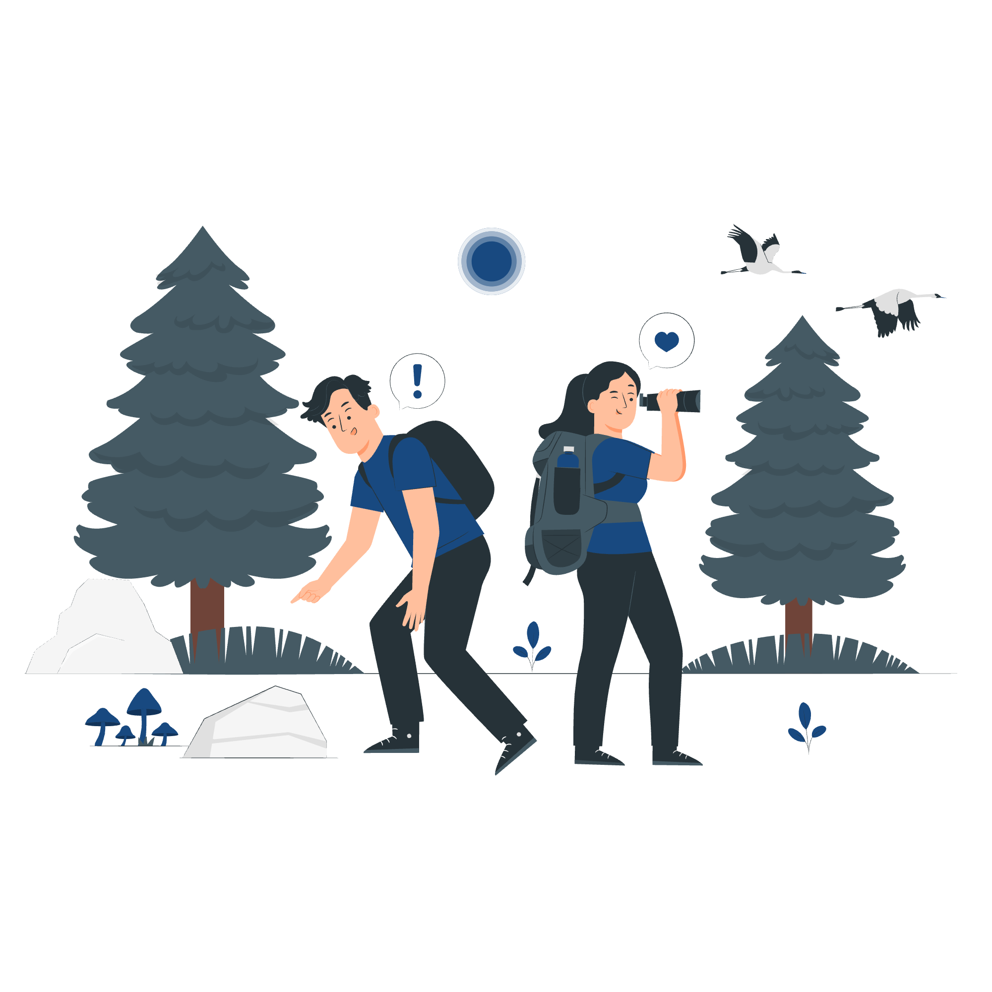 Two hikers in a forest with tall evergreen trees, rocks, and mushrooms. One hiker appears surprised, the other is taking a photo with a camera, surrounded by flying cranes and a moon in the sky.