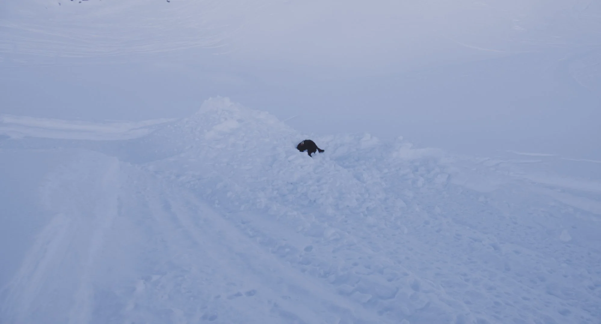 Slush_1.1.8.jpg