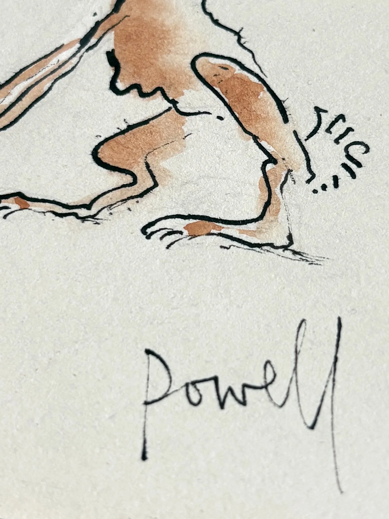 Rabbit-Brown-Detail-3.jpg