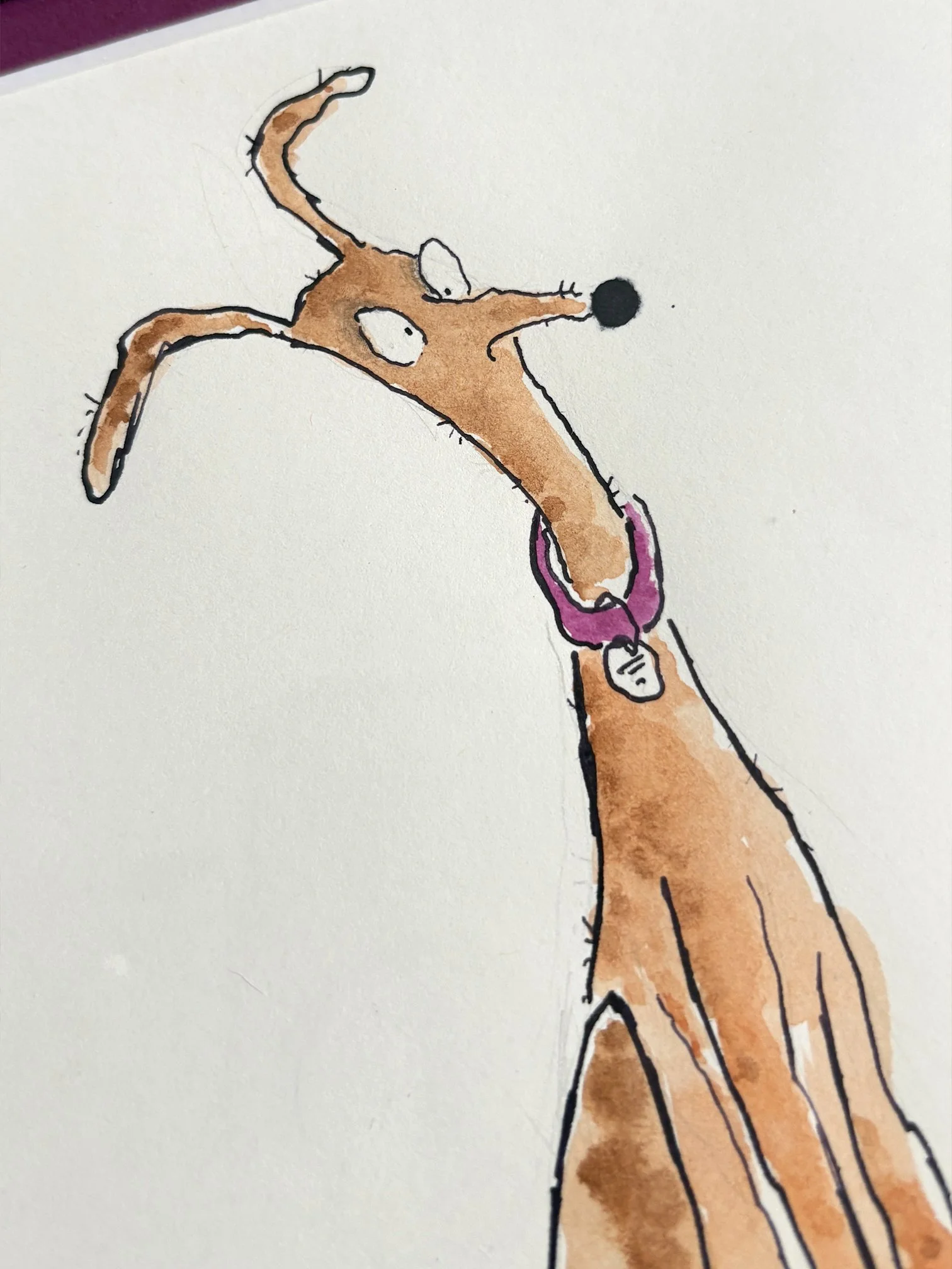 Dumbstruck-Dog-Detail-3.jpg