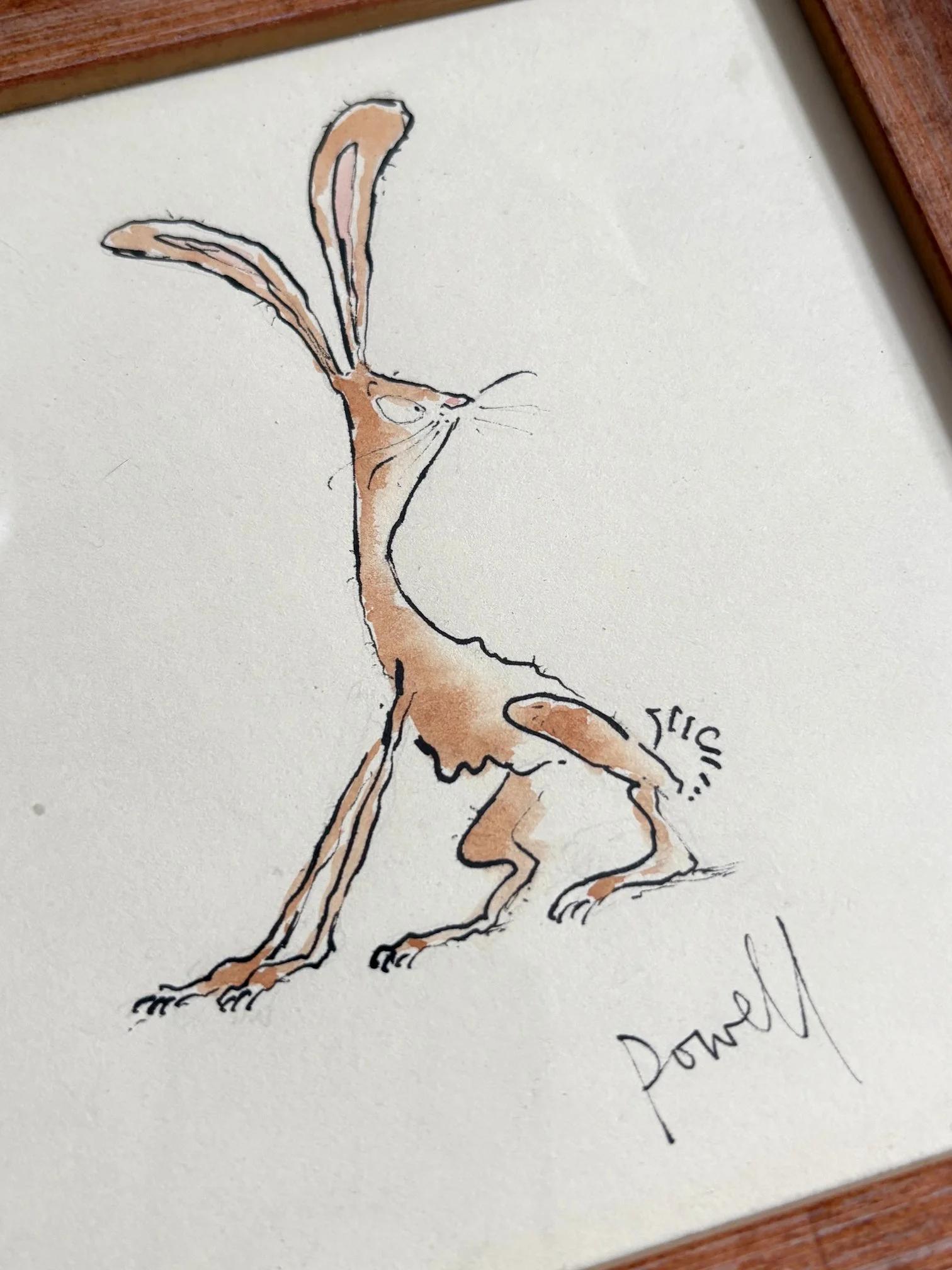 Rabbit-Brown-Detail-1.jpg