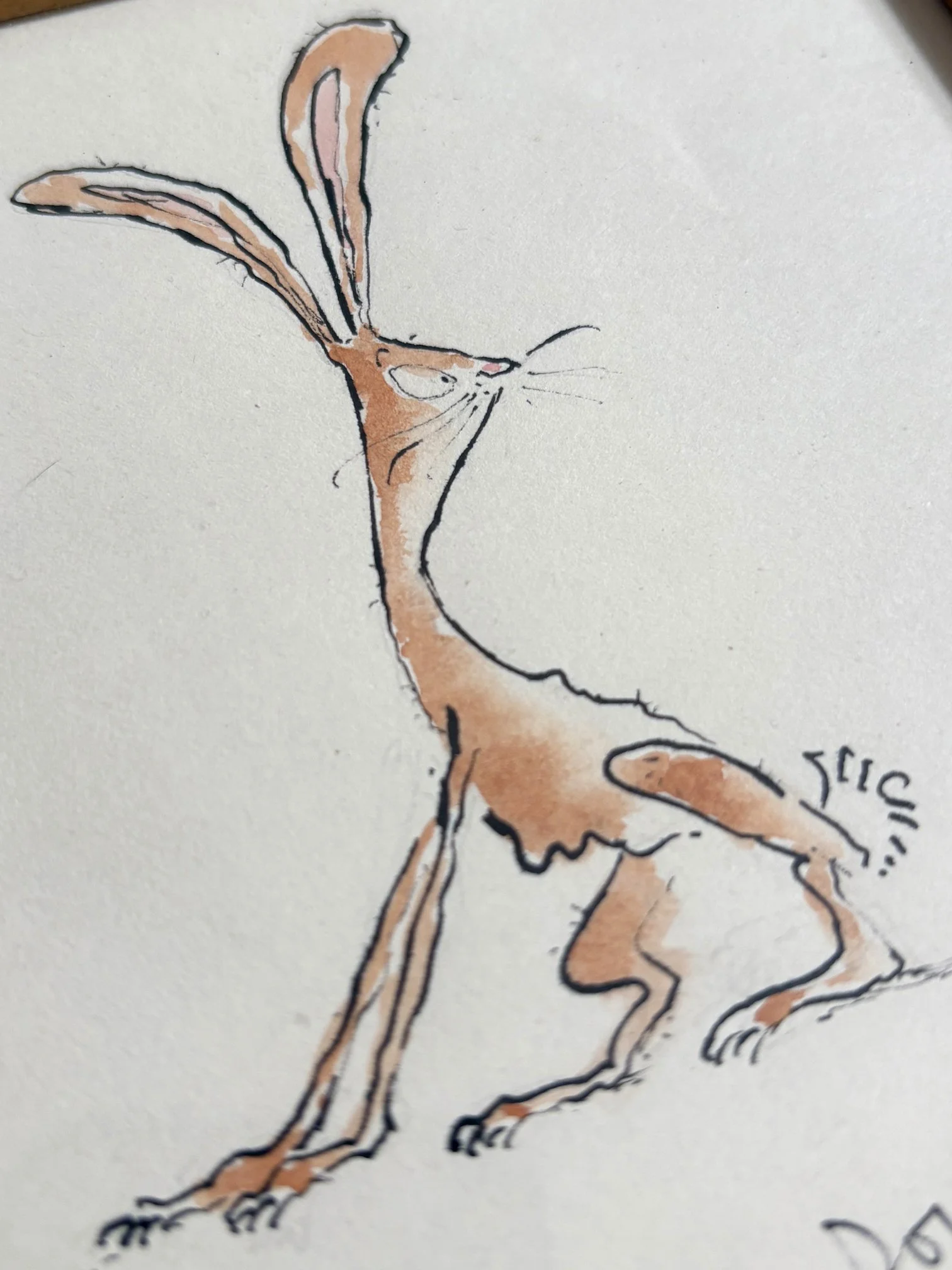 Rabbit-Brown-Detail-2.jpg
