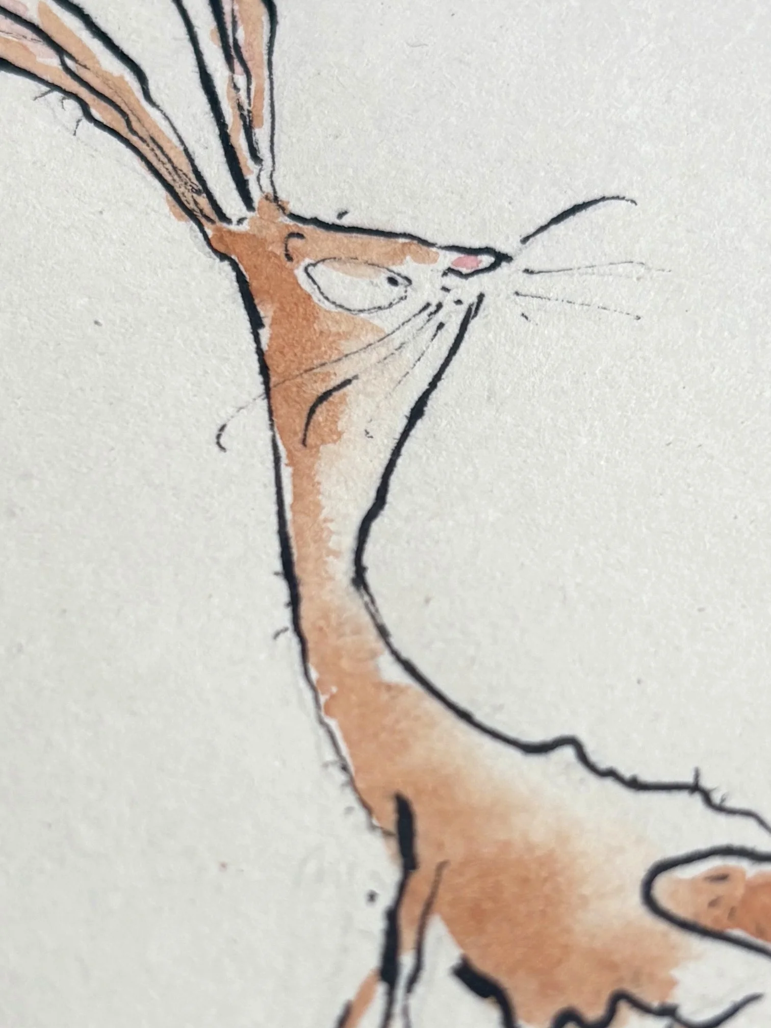 Rabbit-Brown-Detail-4.jpg