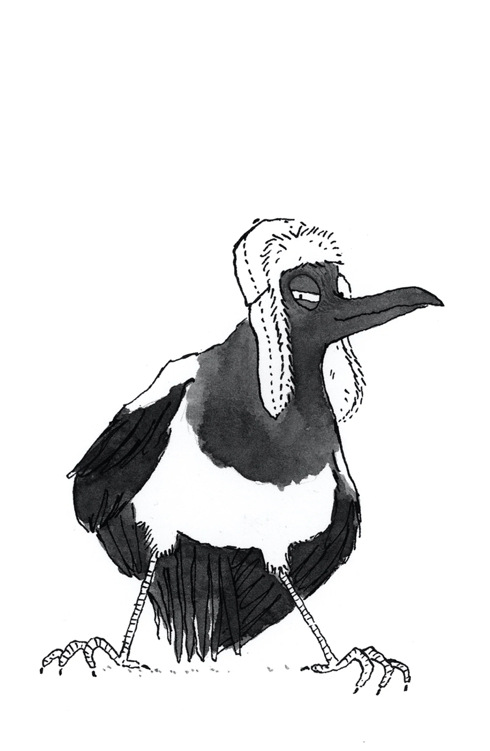A black and white watercolor illustration of a bird with a long beak and tired eyes, wearing a winter hat.