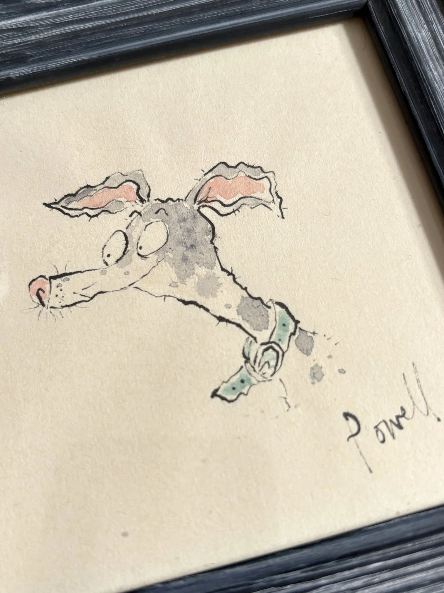 Mini-Dog-Detail-1.jpg