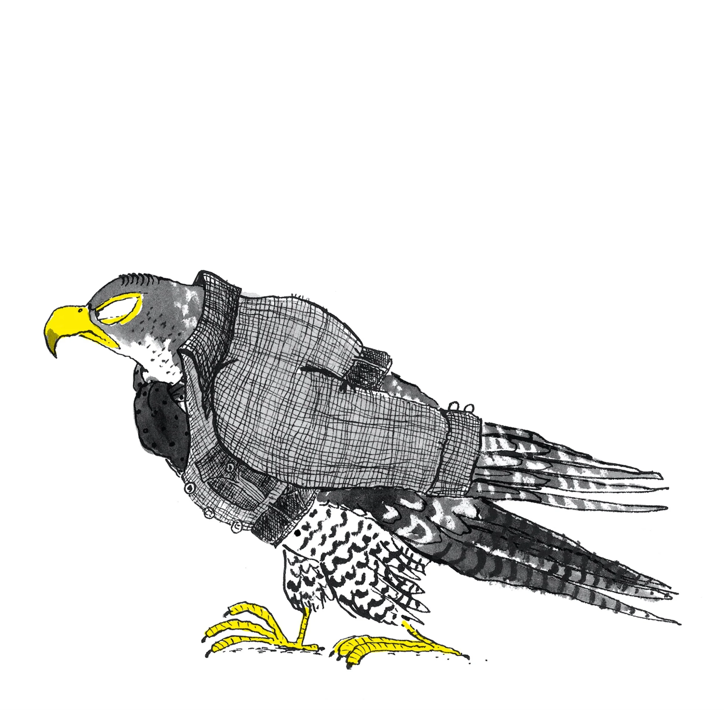 Illustration of a falcon wearing a hoodie and jacket, with a yellow beak and feet, depicted in a cartoon style.