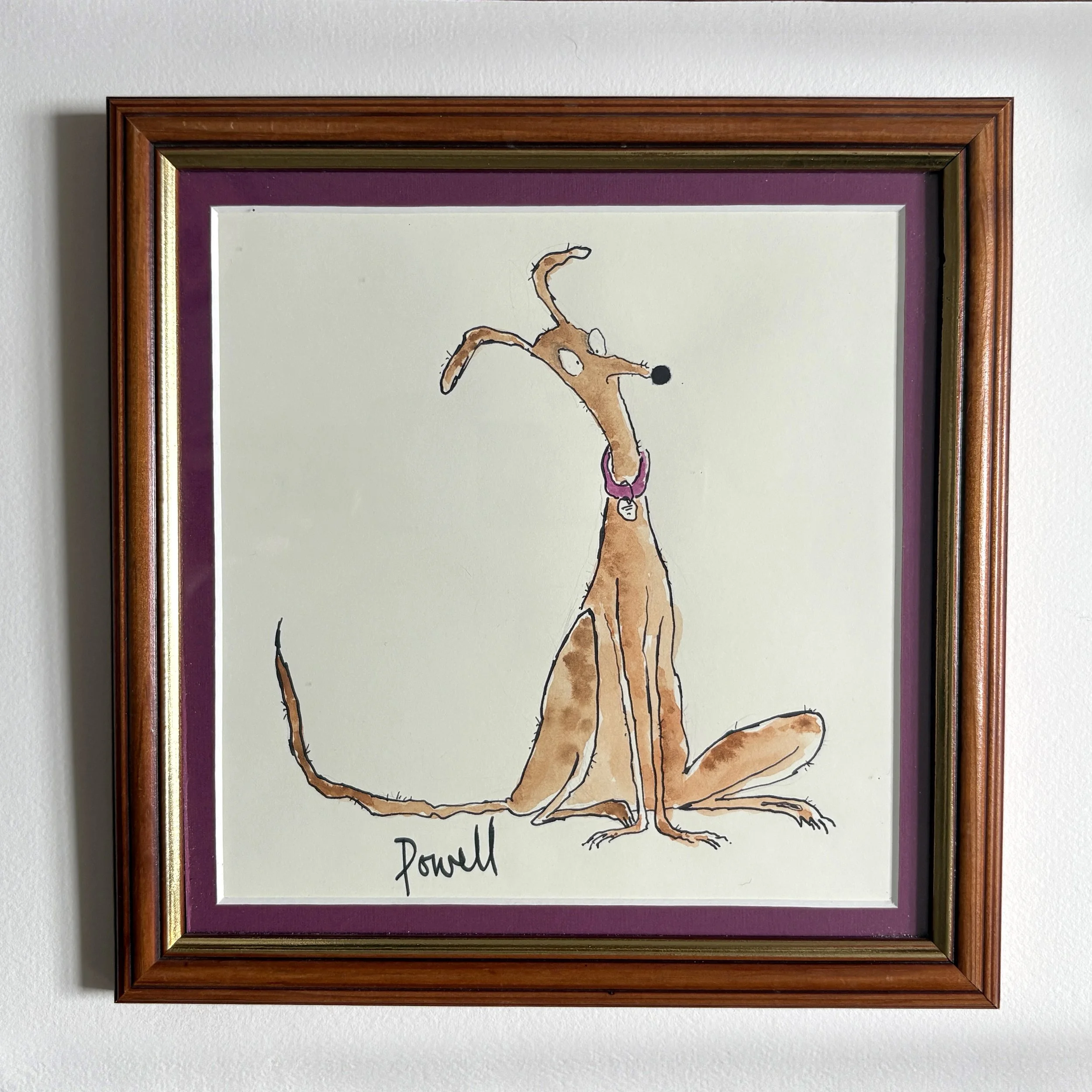 Dumbstruck-Dog-Front.jpg