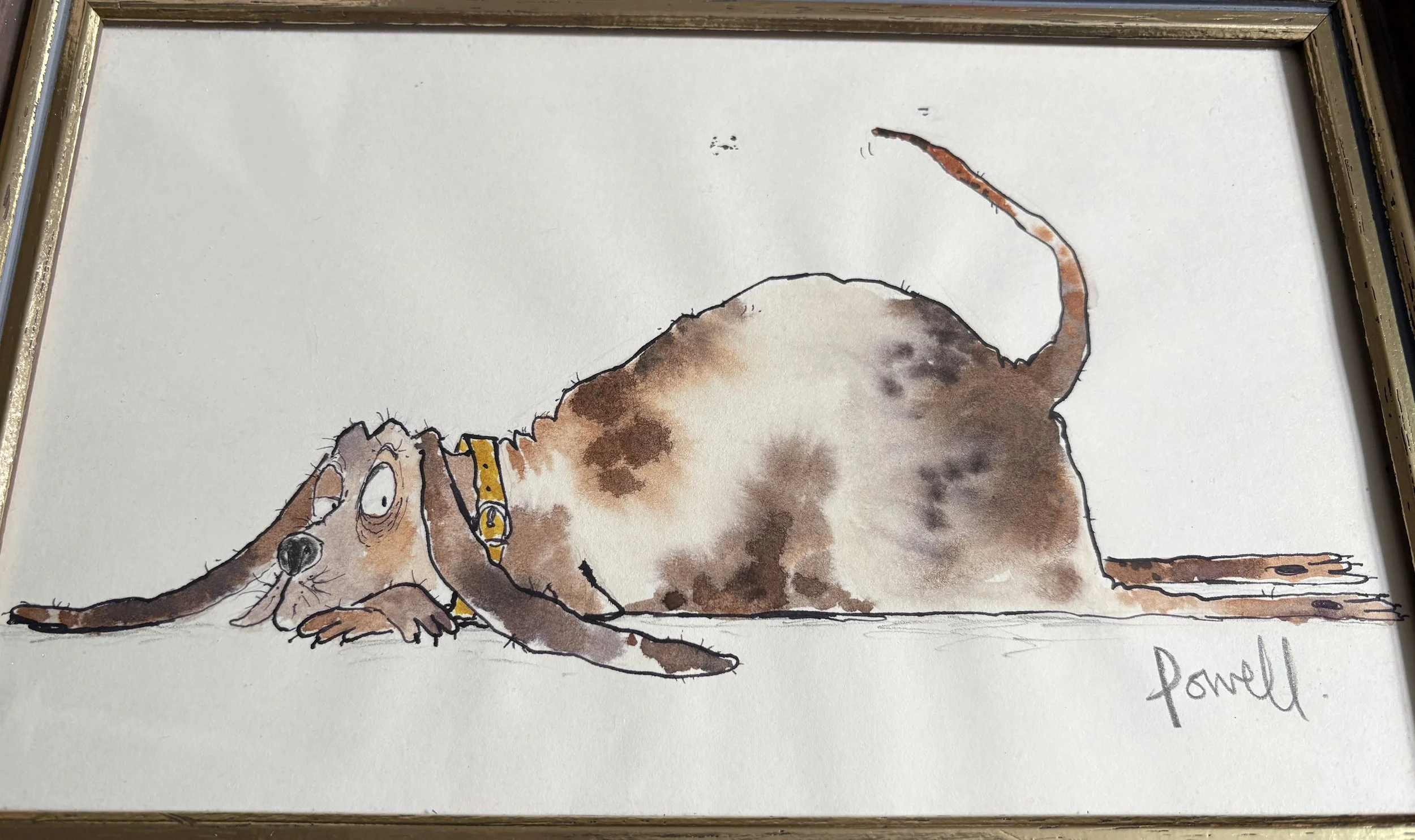 Hound-Dog-Detail-2.jpg