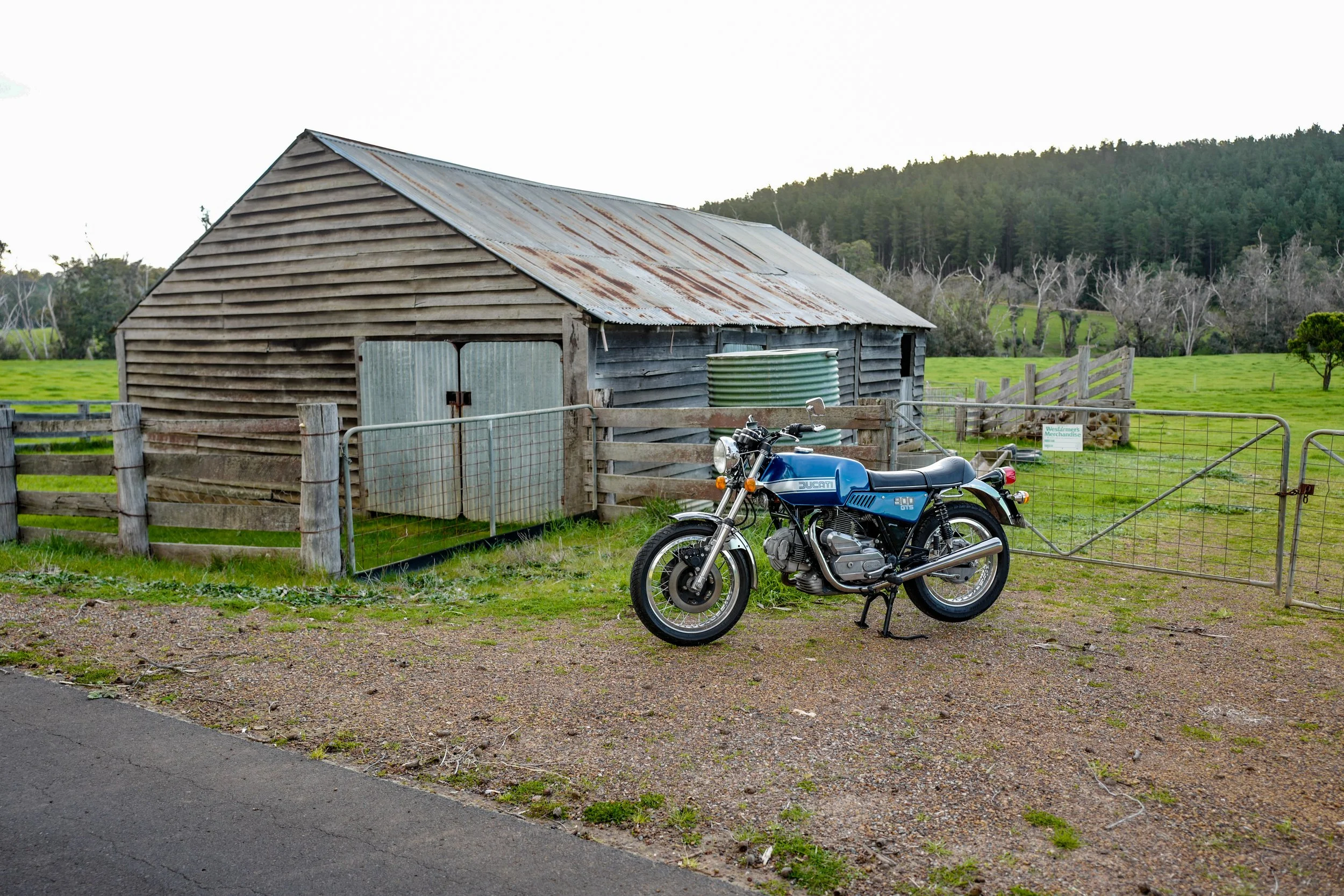 L1000483.jpg