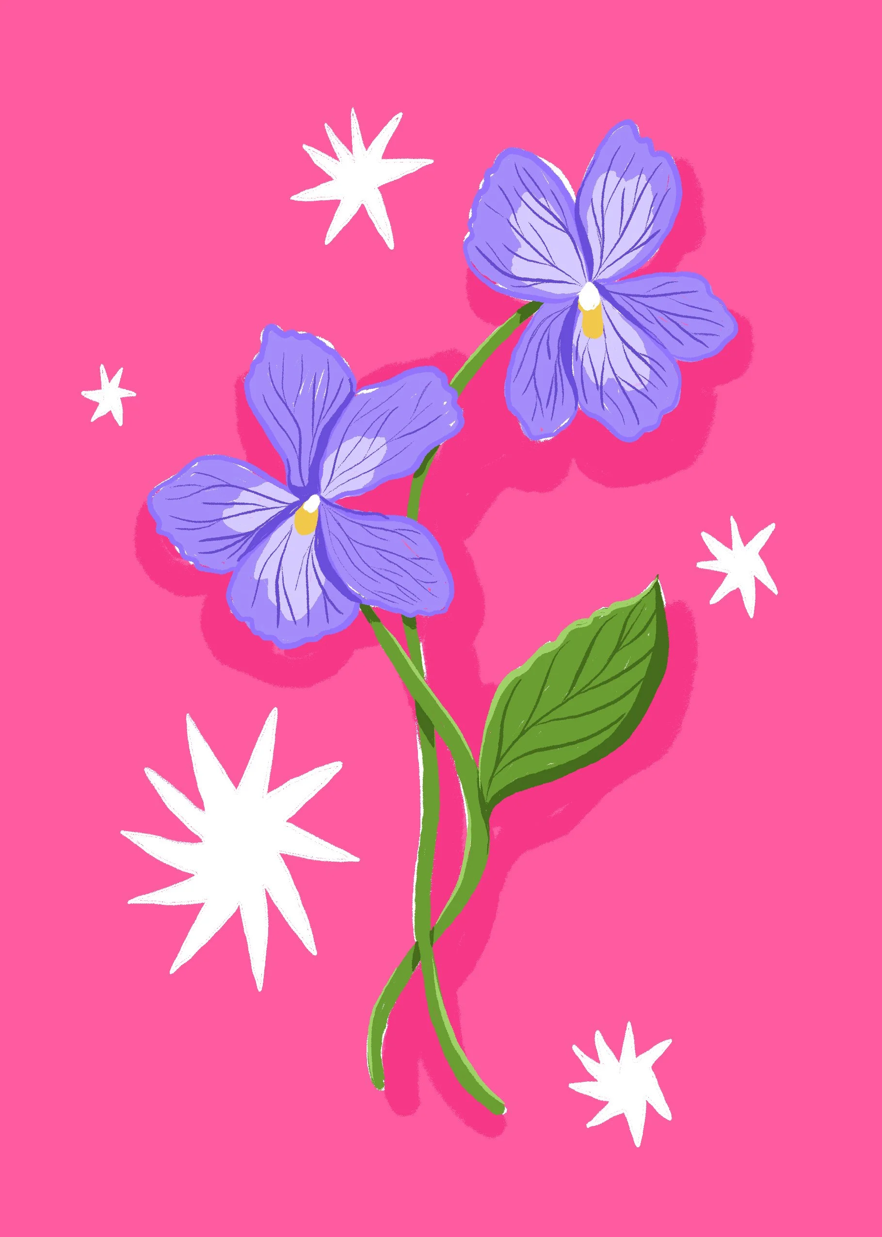 Illustration of two purple flowers with green leaves on a pink background, surrounded by white star-shaped accents.
