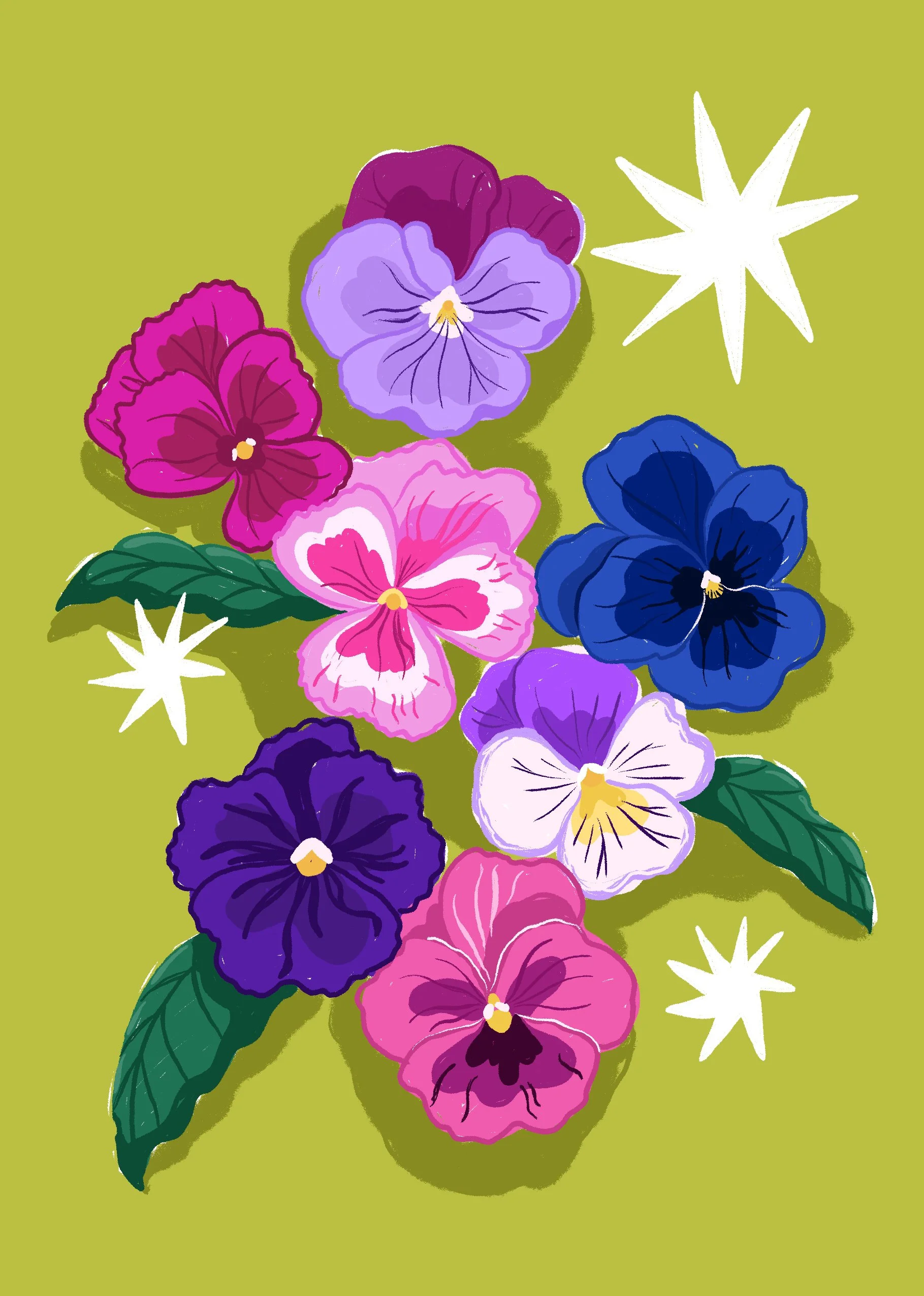 Illustration of multicolored pansy flowers in purple, pink, blue, and white with green leaves and white star-shaped accents on a green background.