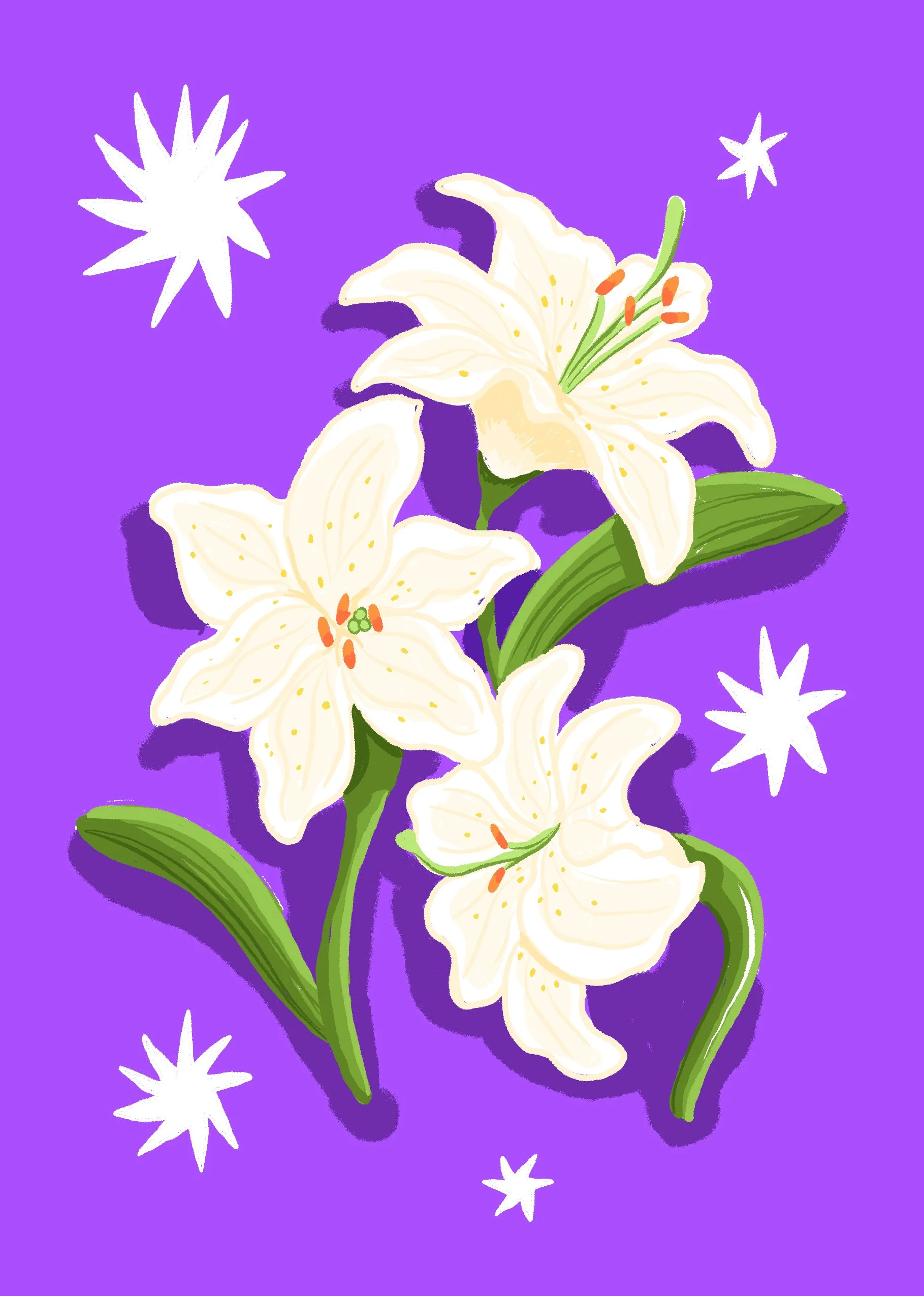 Illustration of three white lilies with green leaves on a purple background, decorated with white starburst shapes.