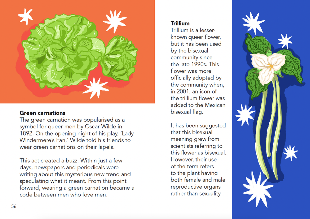 Illustration of a green carnation flower on a red background and a white trillium flower with green leaves on a blue background.
