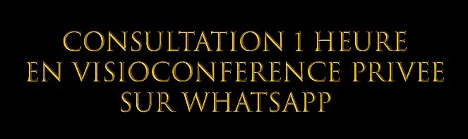 Texte en or sur fond noir : "Consultation 1 heure en visioconférence privée sur WhatsApp".