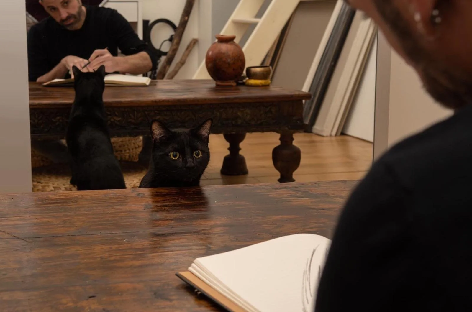 Deux chats noirs regardent un homme qui est assis à une table, avec un carnet ouvert devant lui. La scène se déroule dans une pièce avec un mobilier en bois et des œuvres d'art ou des cadres alignés contre le mur.