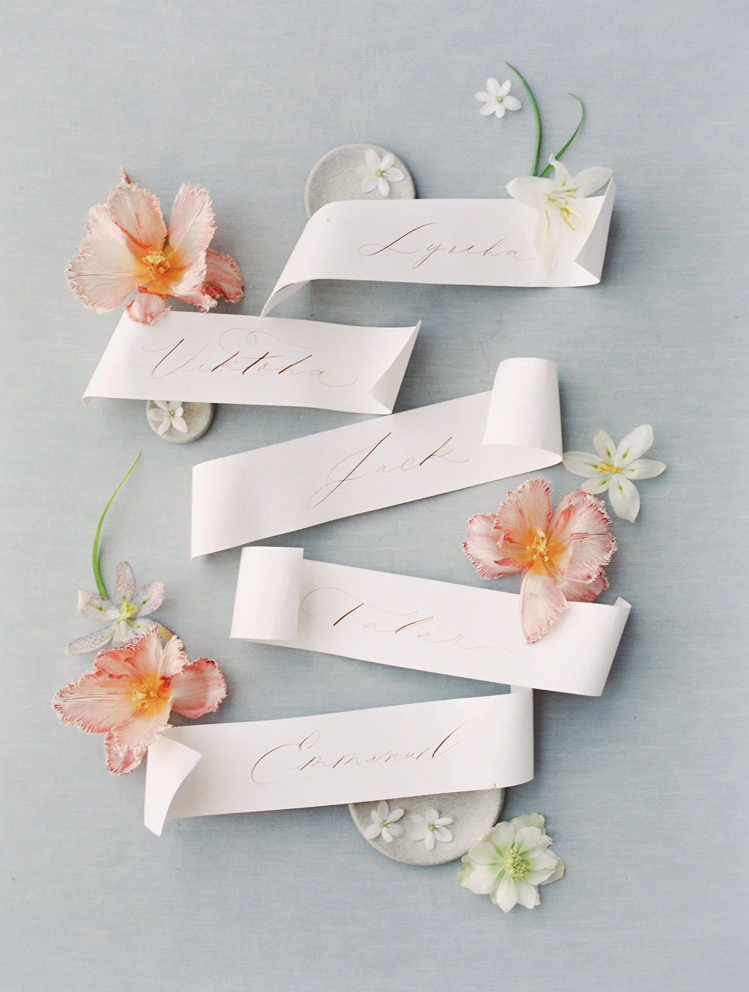 Place Cards (Pack of 20)