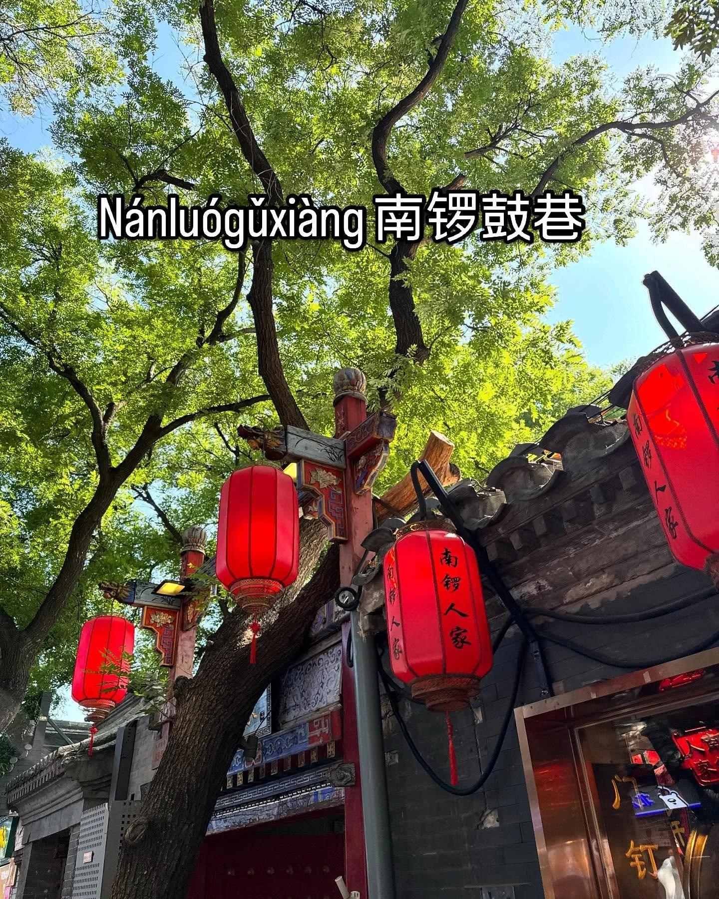 Day7 |📍南锣鼓巷(南n&aacute;n锣lu&oacute;鼓gǔ巷xi&agrave;ng)：the heartbeat of old Beijing, 
Stretching 787 meters long and 8 meters wide, this iconic alley is flanked by eight traditional h&uacute;tongs on each side, branching east and west like veins of his