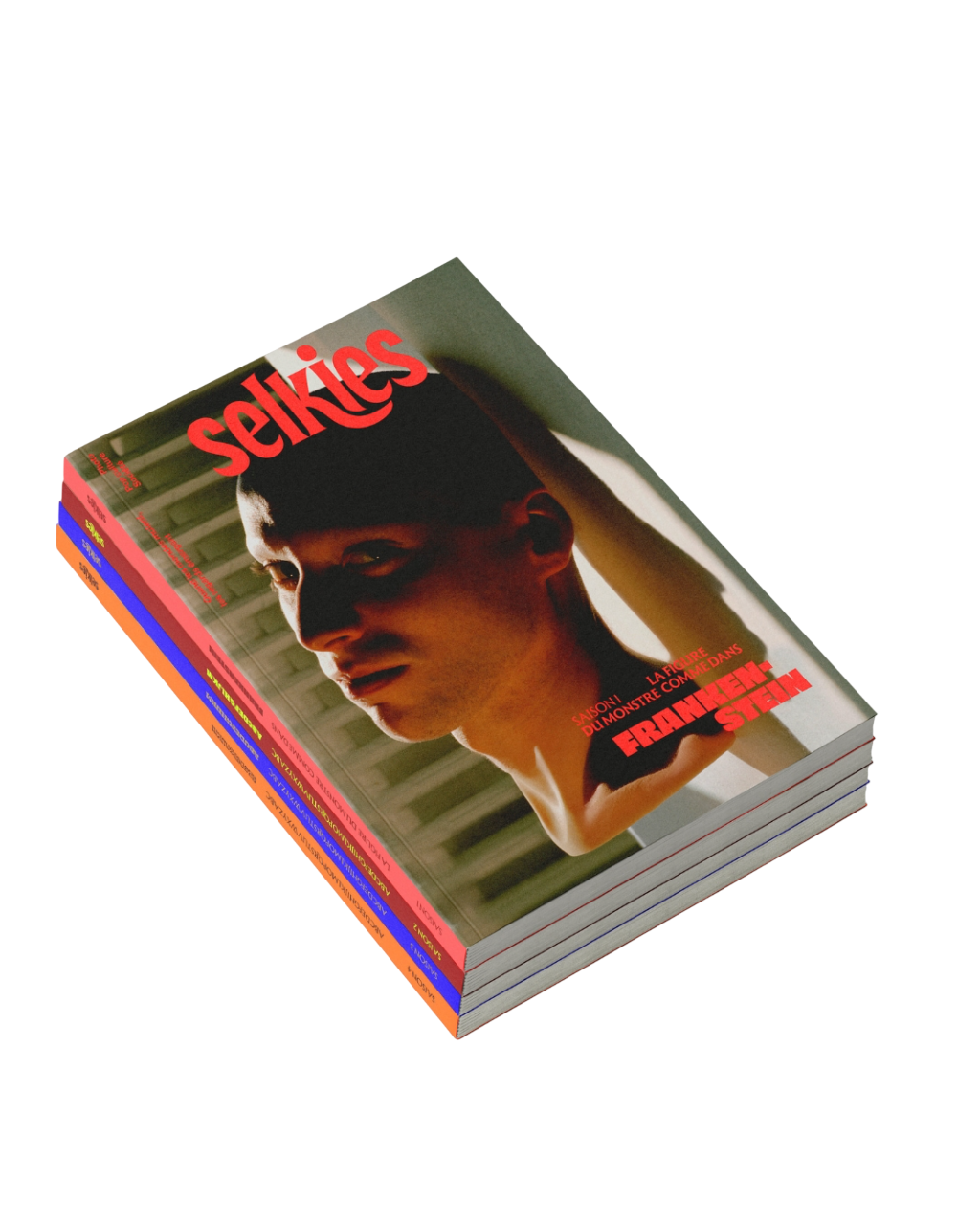 PACK INTÉGRALE SAISONS 1-4