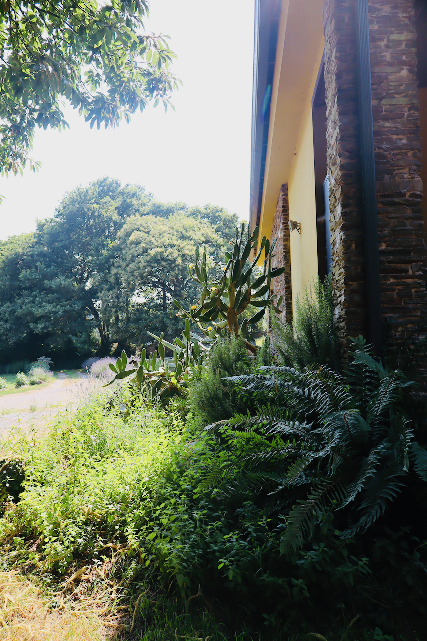 IMG_0658.png