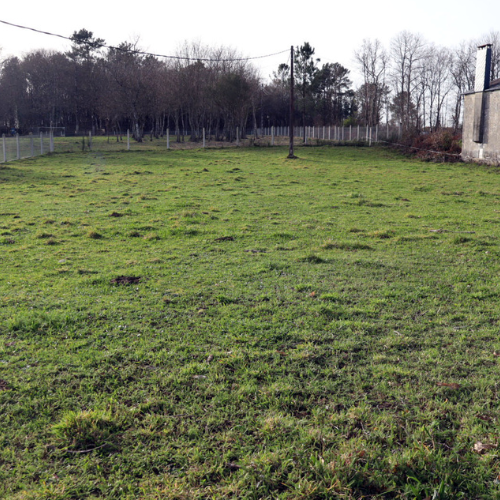 Parcela edificable en Friol