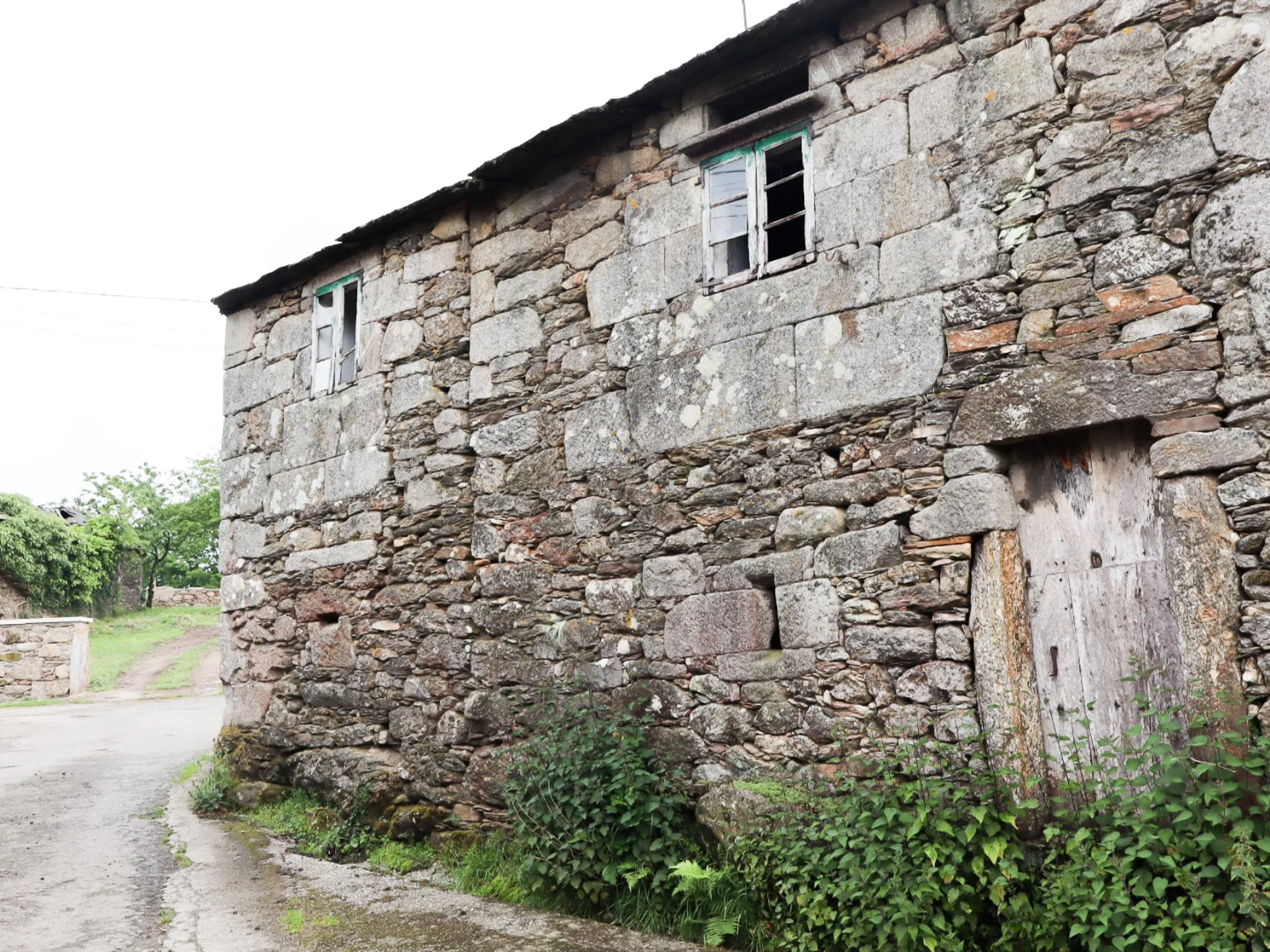 IMG_1890.jpg