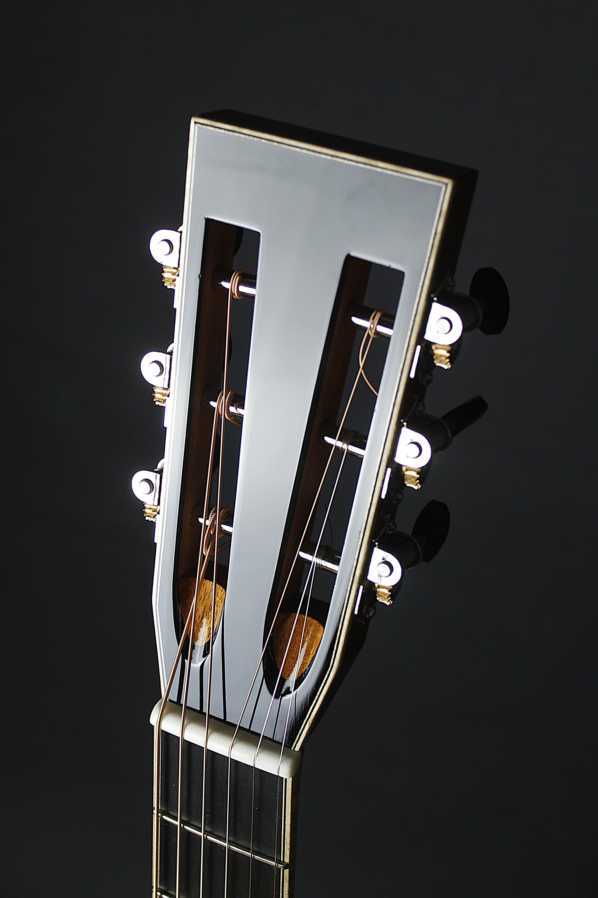 00 - Schweizer Mondfichte, Amazonas Palisander - Old Growth Guitars