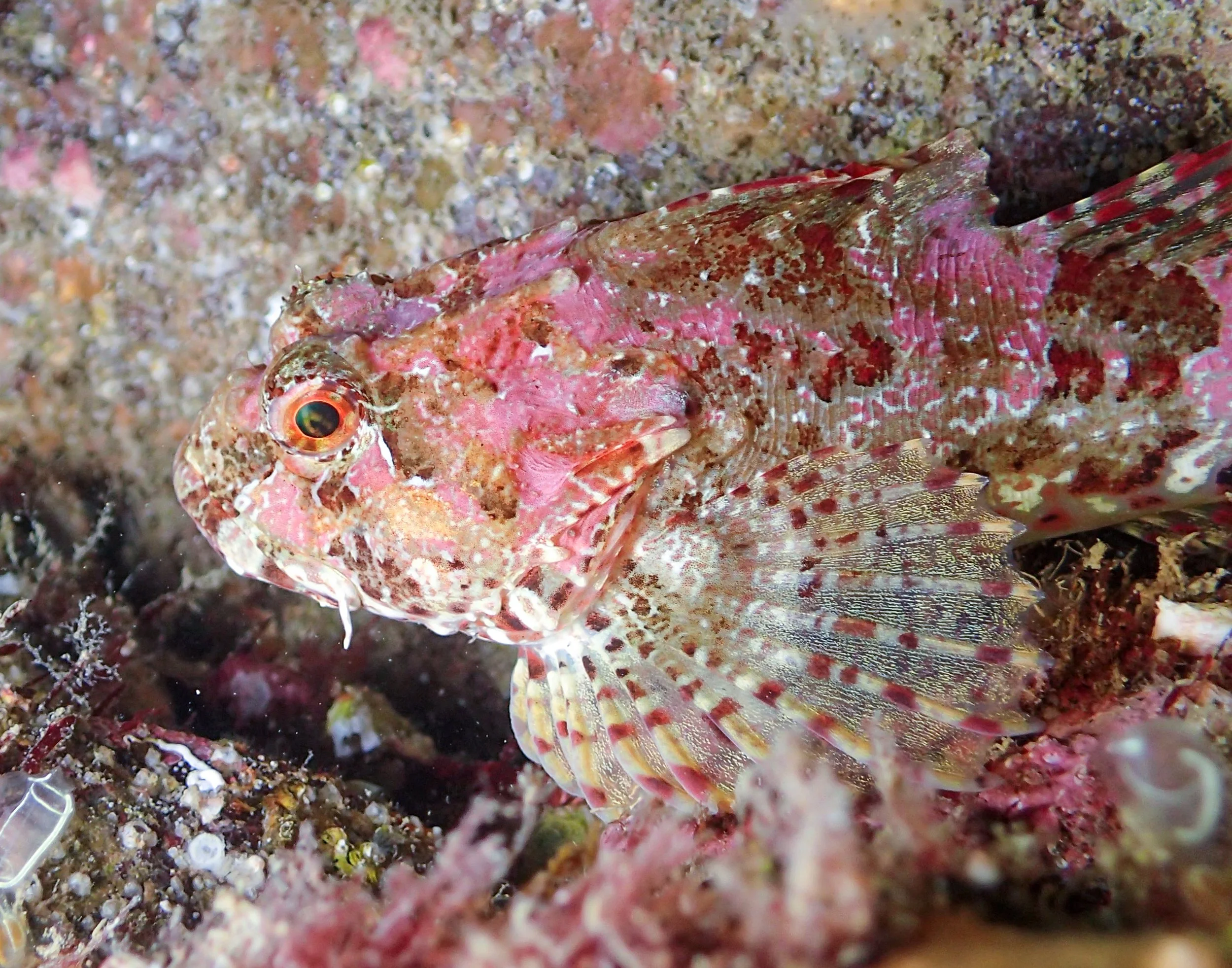 Macduff Marine Aquarium: Catch My Drift