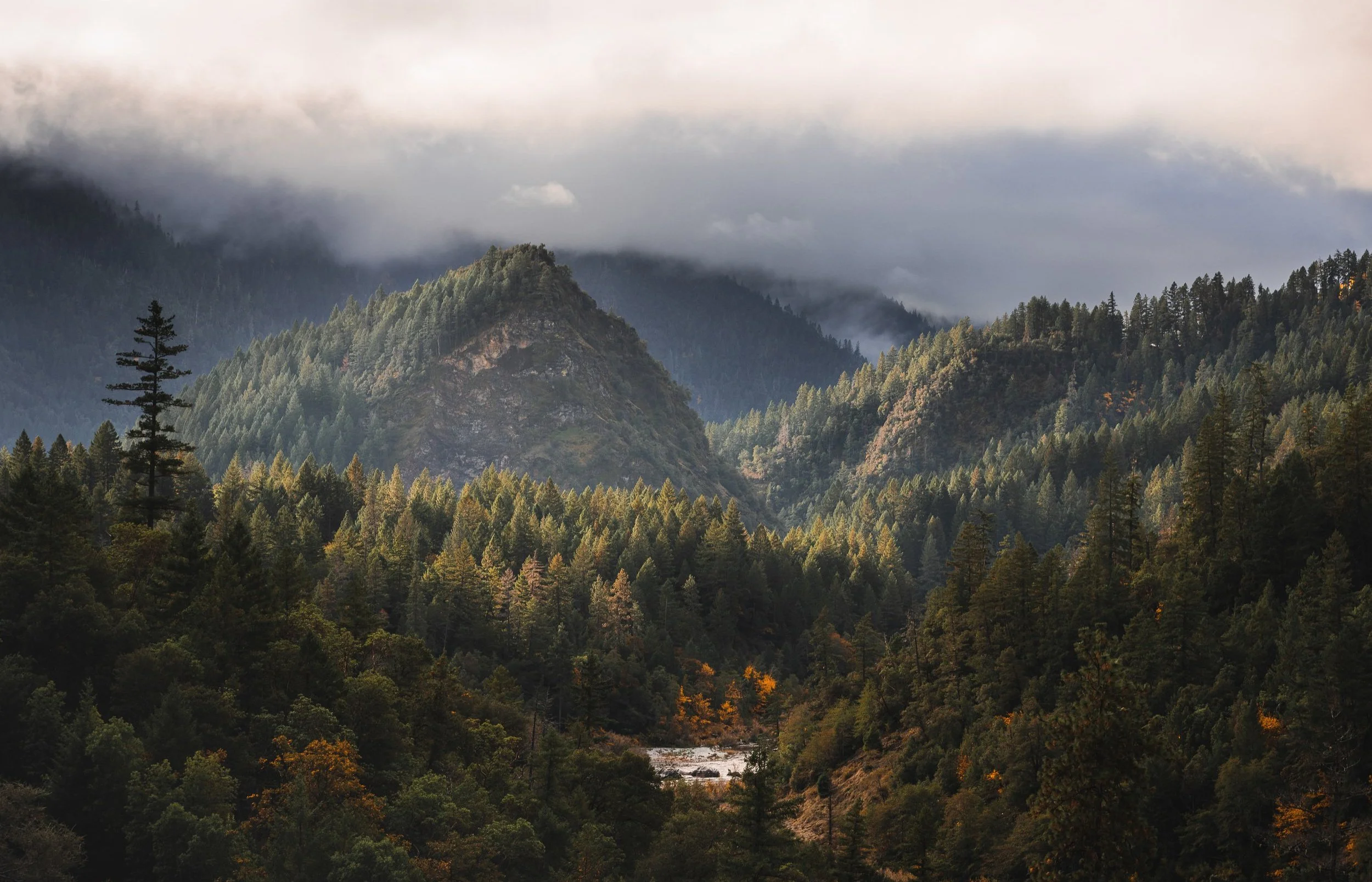 Mountains covered with dense green trees, with clouds and fog above, and a river running through the valley.