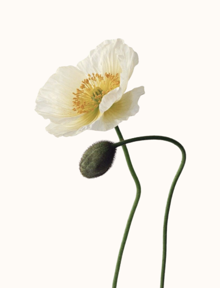 Screenshot 2026-03-11 at 11.34.07.png