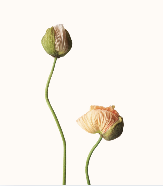 Screenshot 2026-03-11 at 11.33.57.png