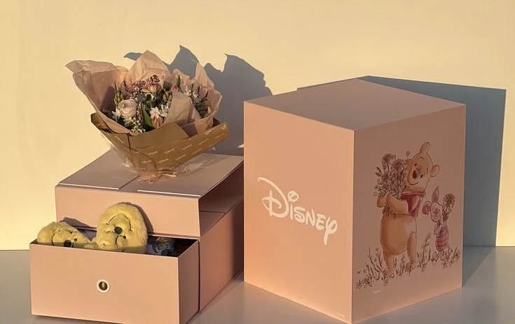 Disney Mailer