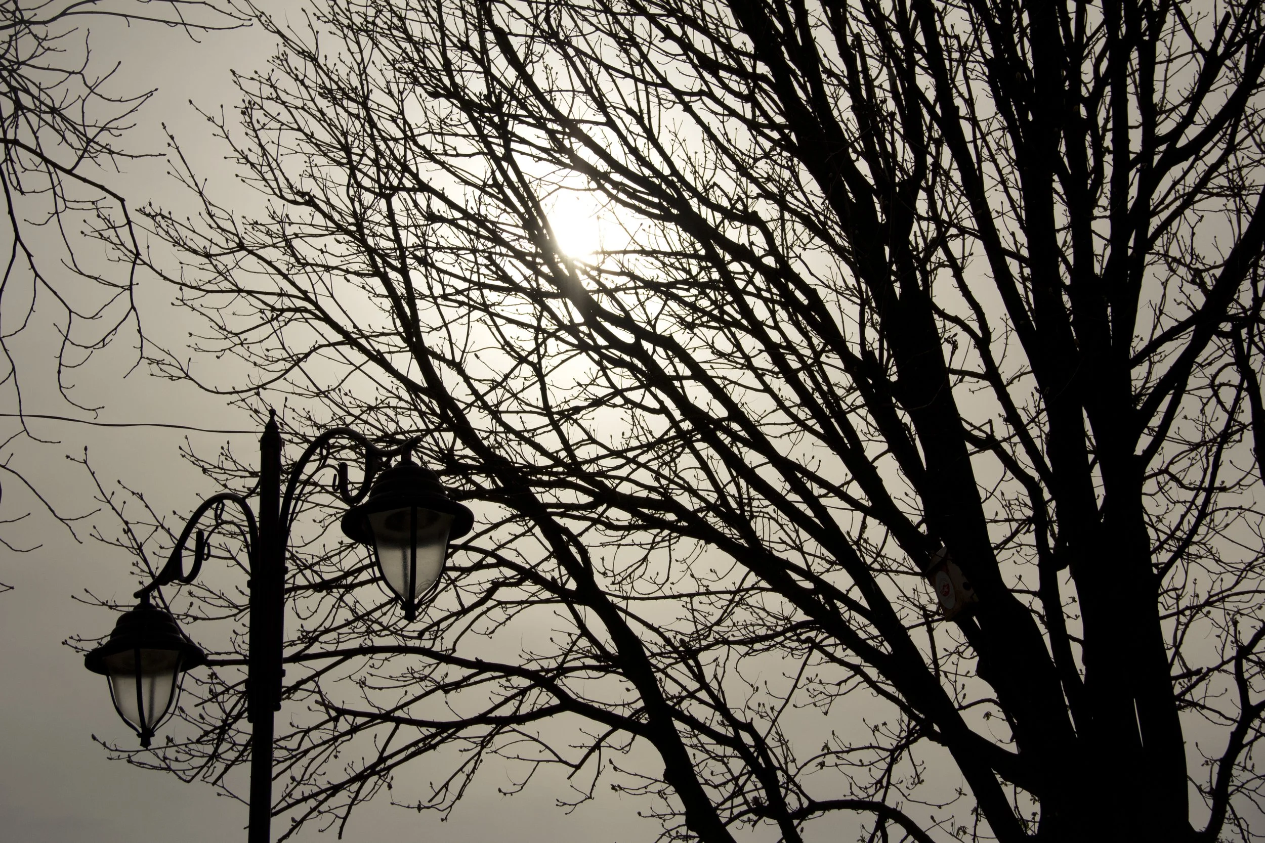 IMG_1249 3.56.01 PM.jpg