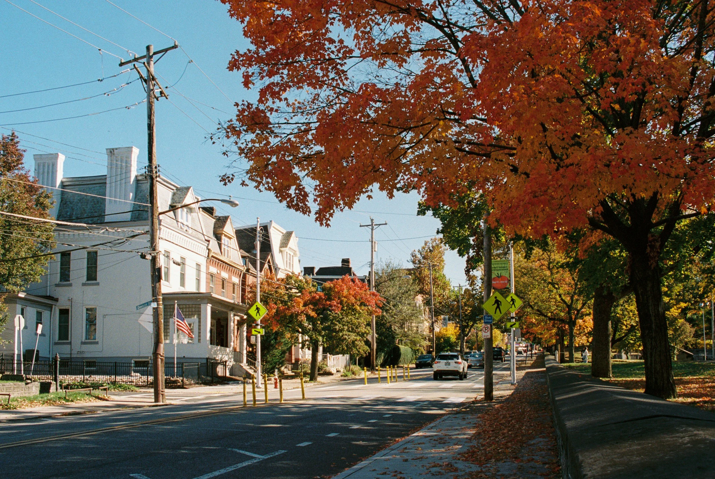 A tree-lined street with colorful fall foliage, houses, and pedestrian crossing signs