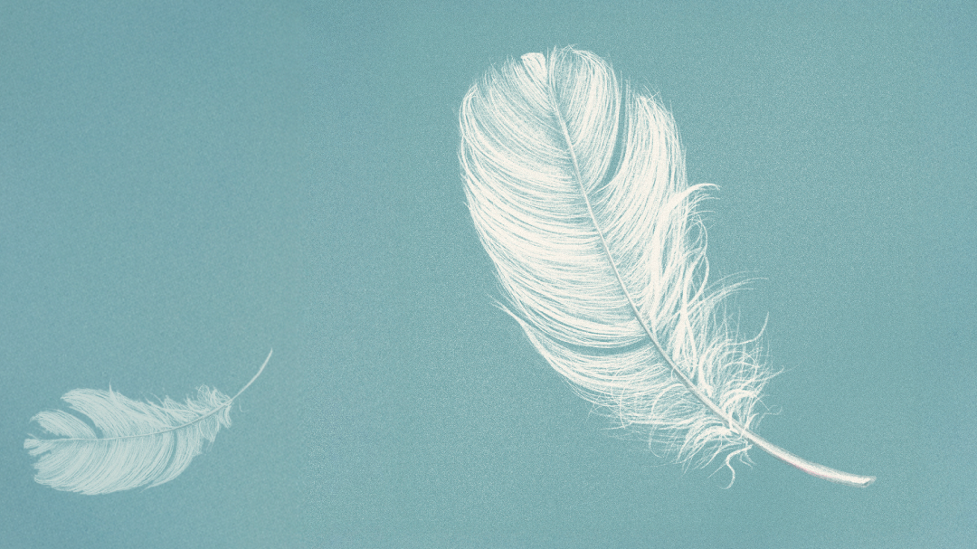 Rilassamento e Yoga Nidra