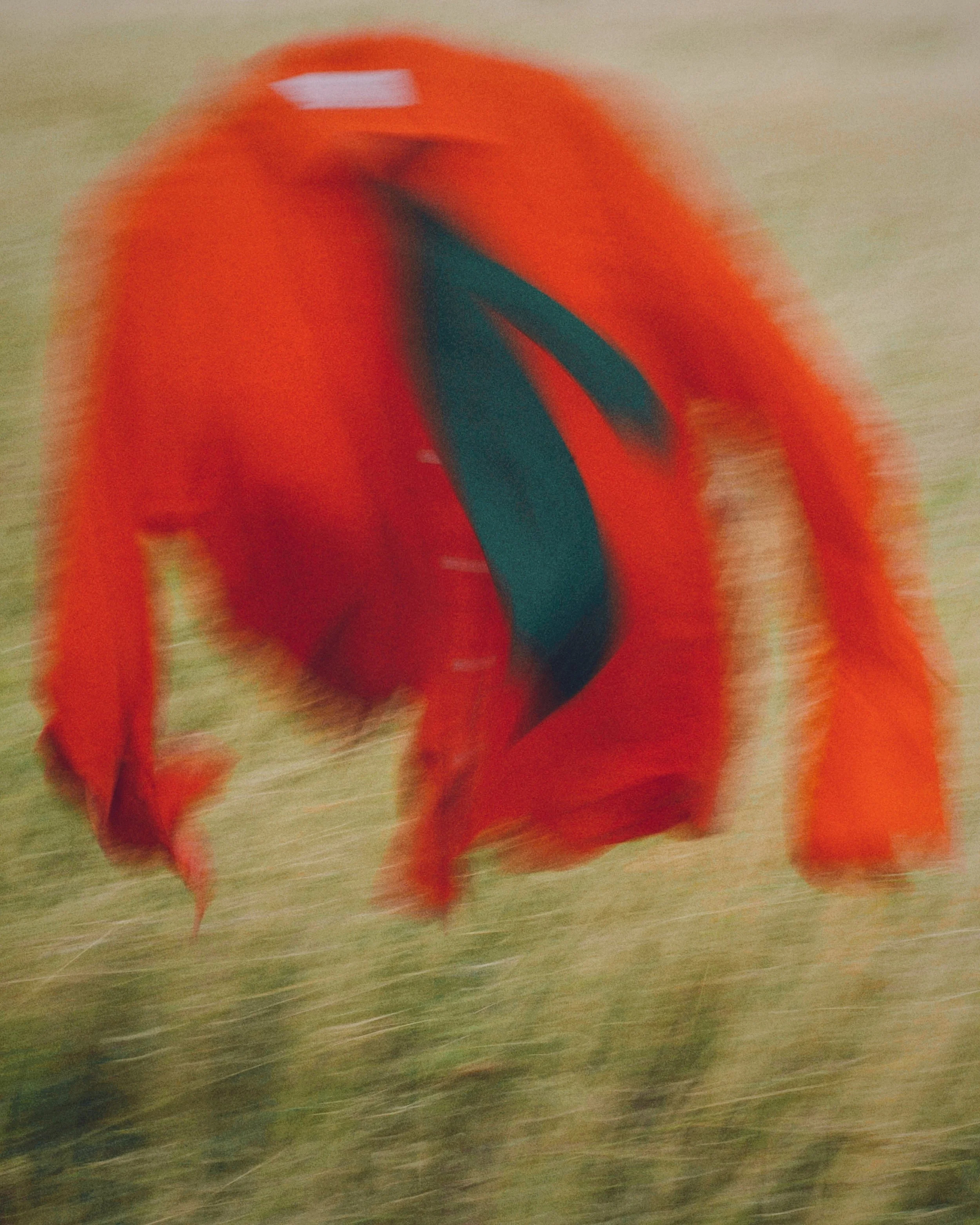 David Nolan Stylist Still Life
